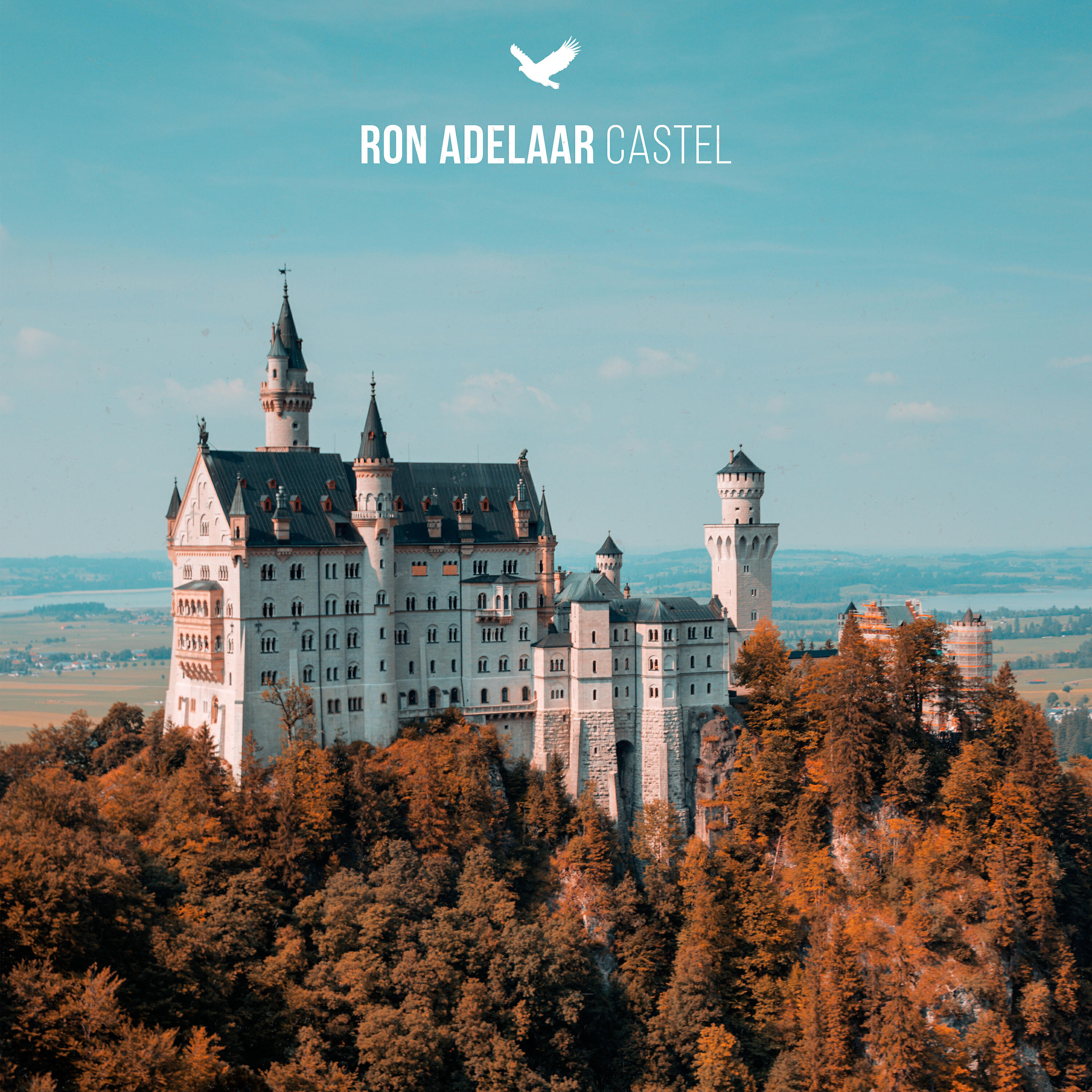 Релиз Castel