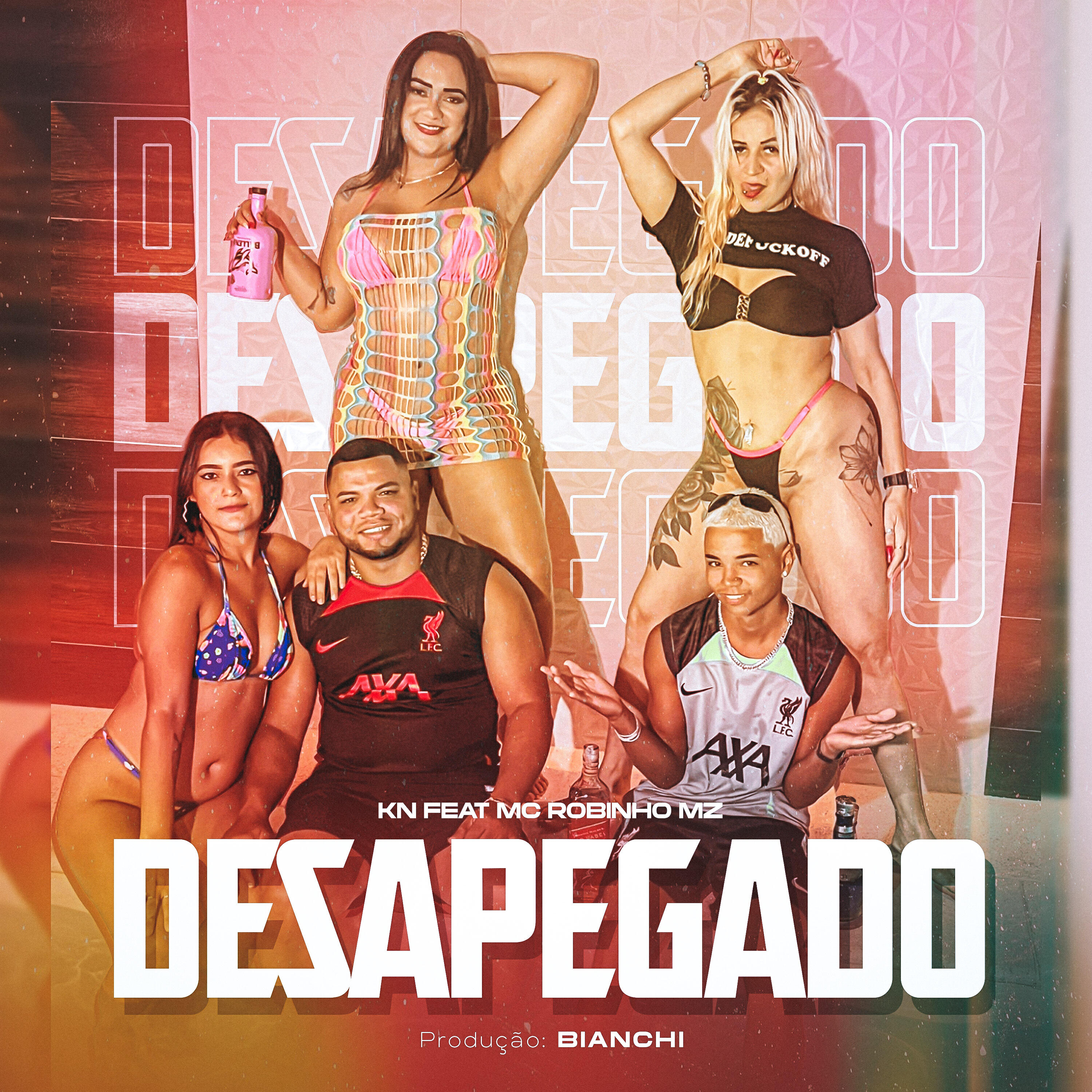 Постер альбома Desapegado