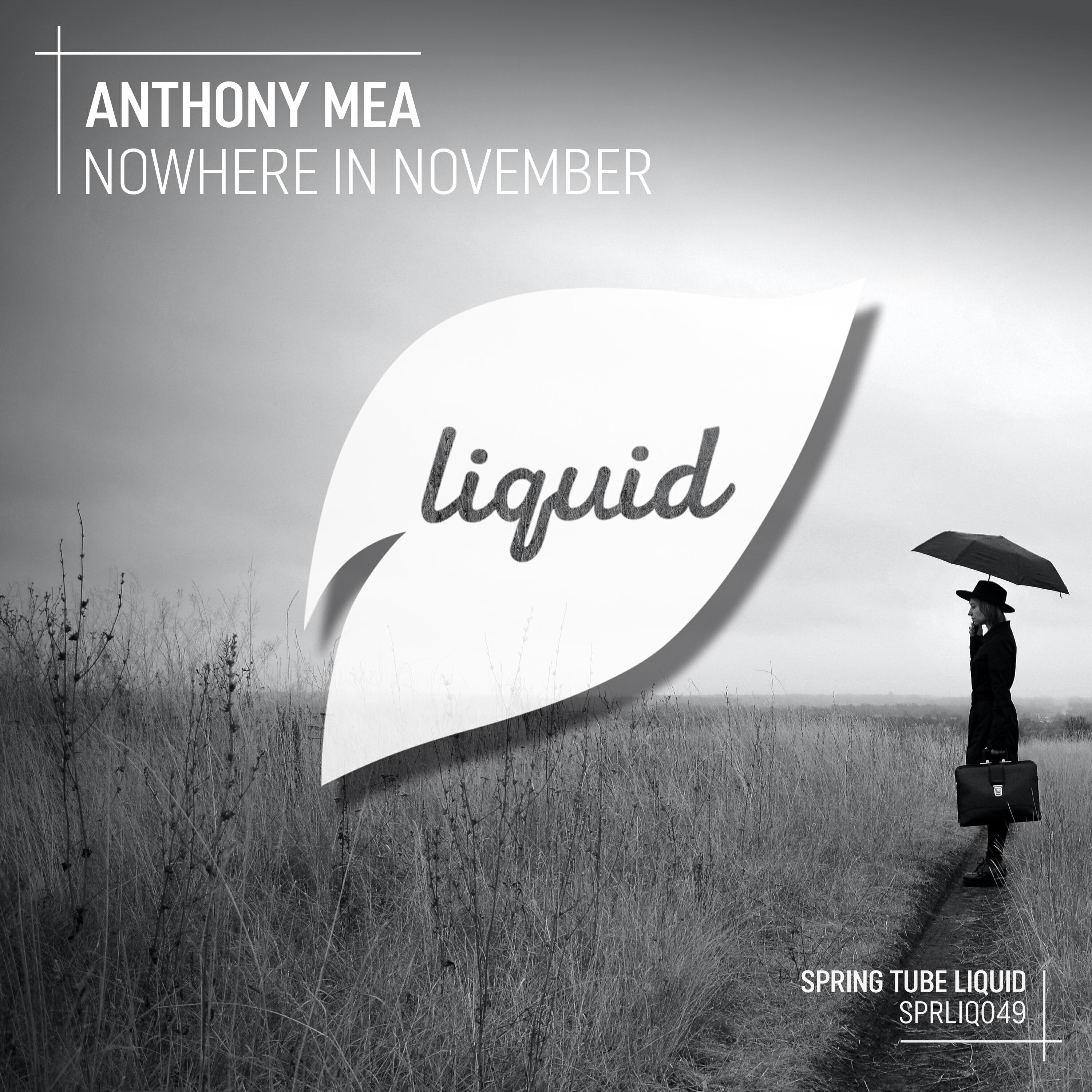 Релиз Nowhere in November