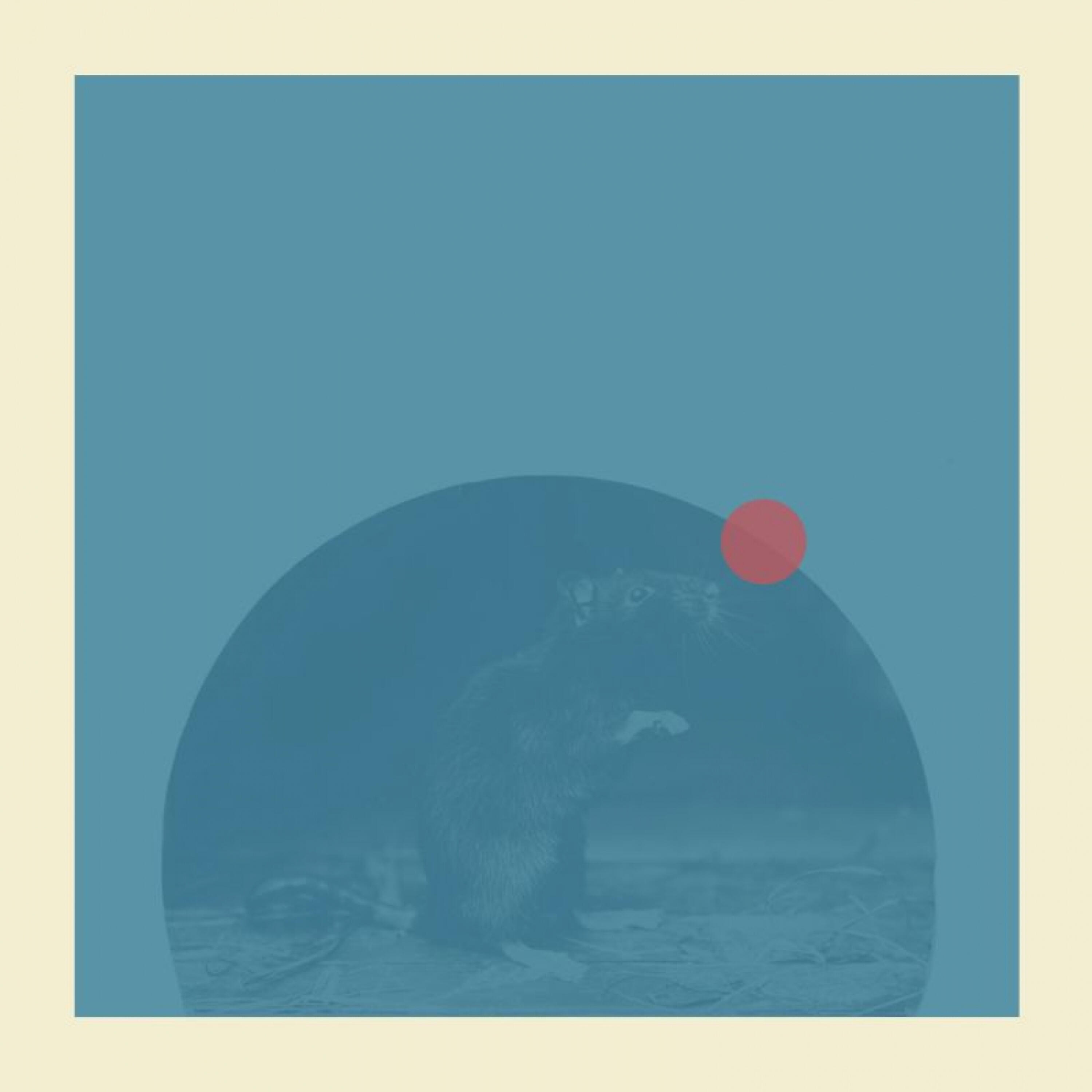 Релиз Little Sleepwalker