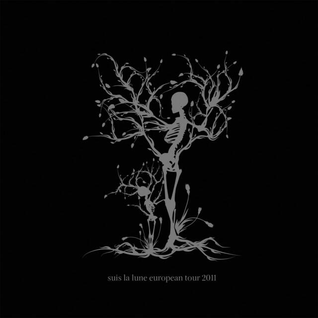 Релиз European Tour 2011