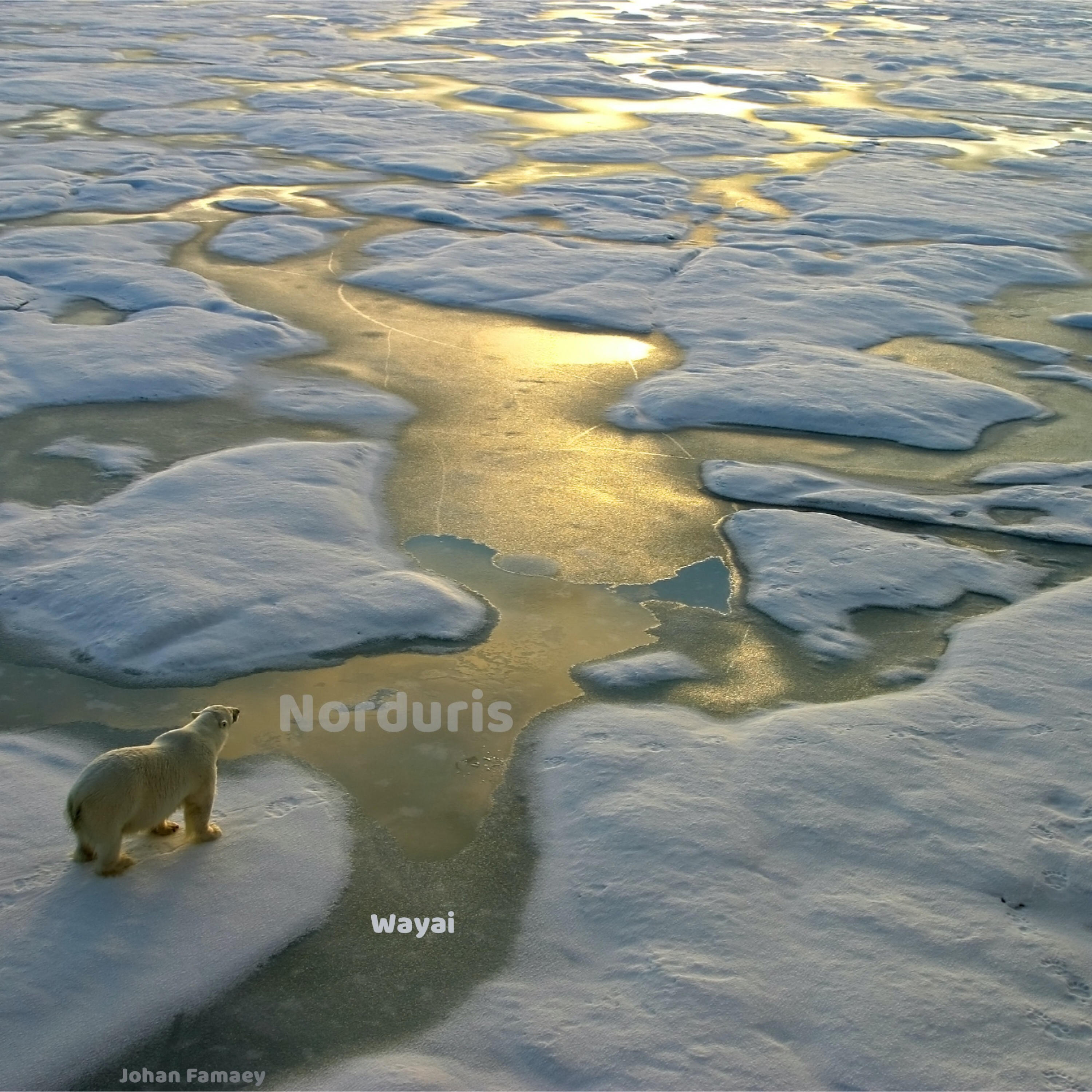 Релиз Norduris