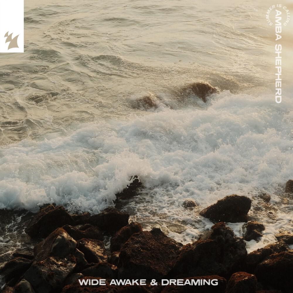 Релиз Wide Awake & Dreaming