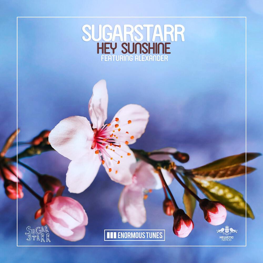 Релиз Hey Sunshine