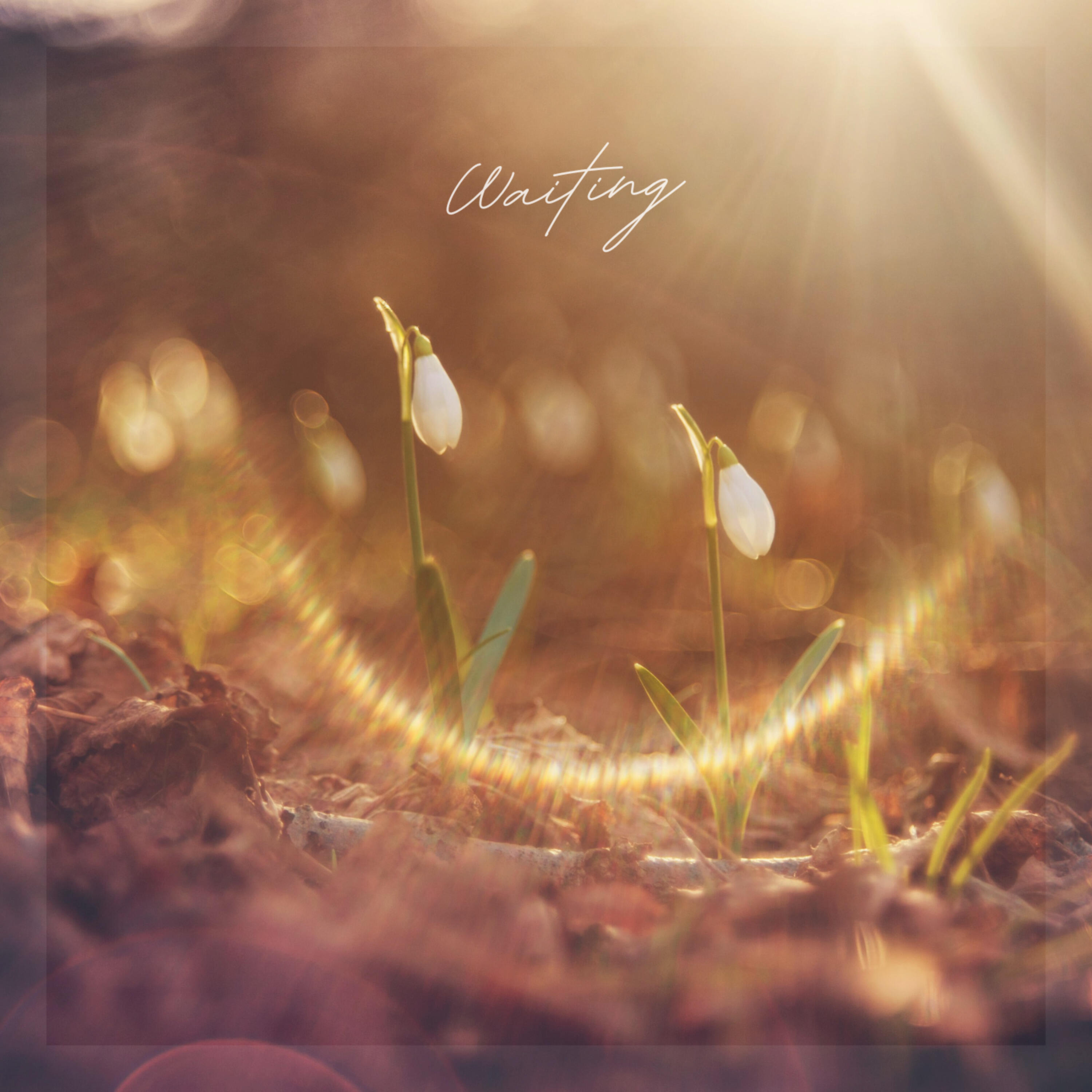 Релиз Waiting