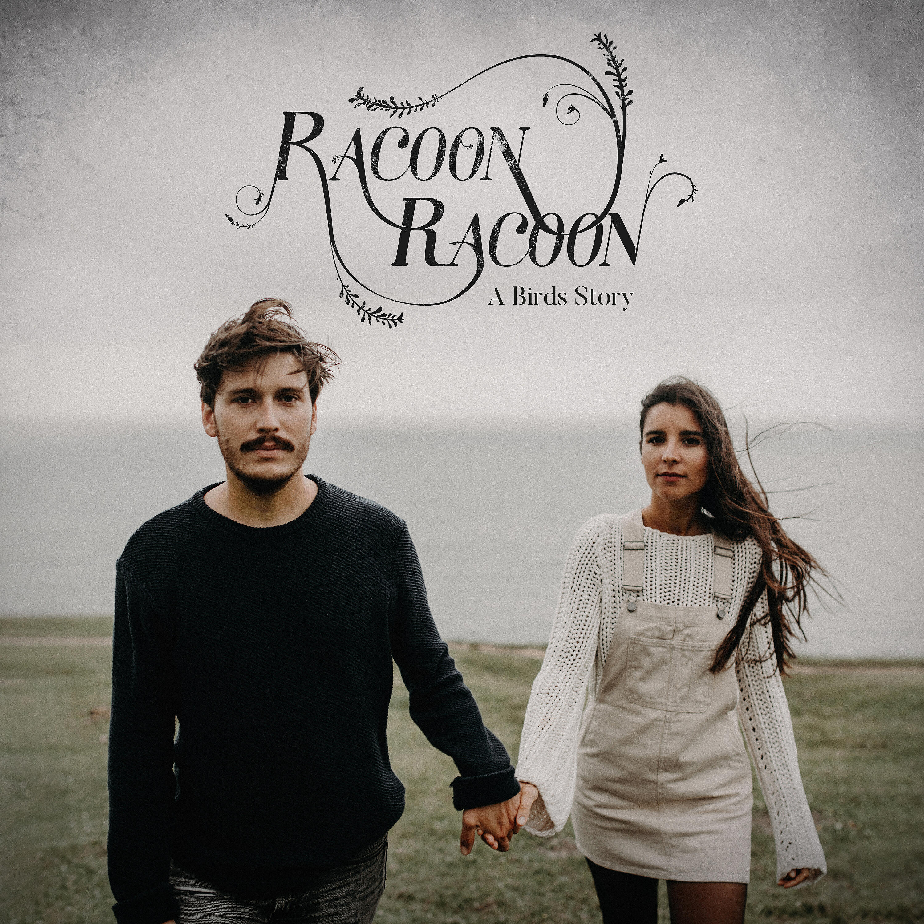 Релиз A Birds Story