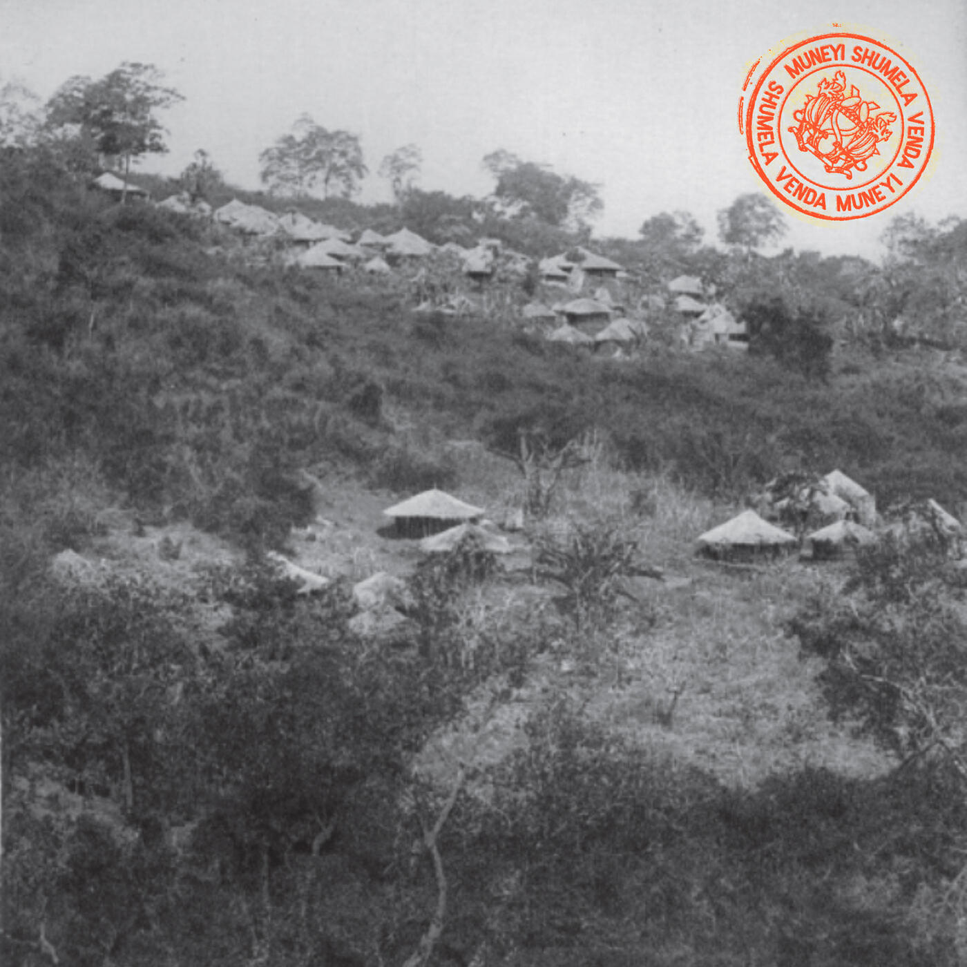 Релиз SHUMELA VENDA
