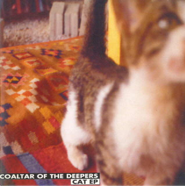 Релиз Cat