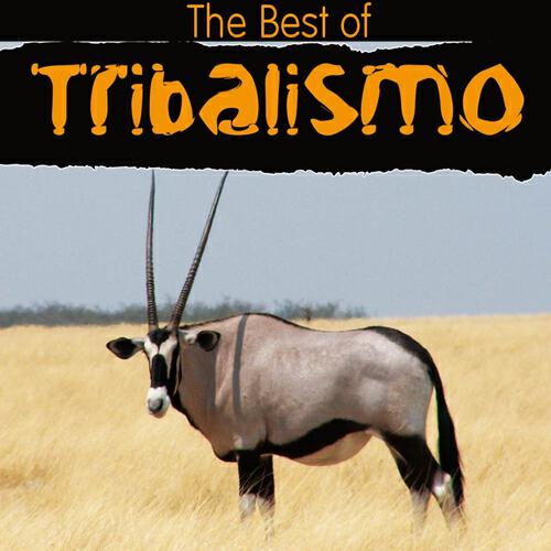 Релиз The Best of Tribalismo