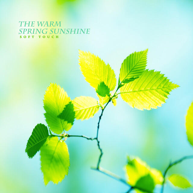 Релиз Greetings from spring sunshine
