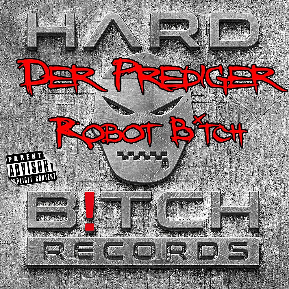 Релиз Robot Bitch
