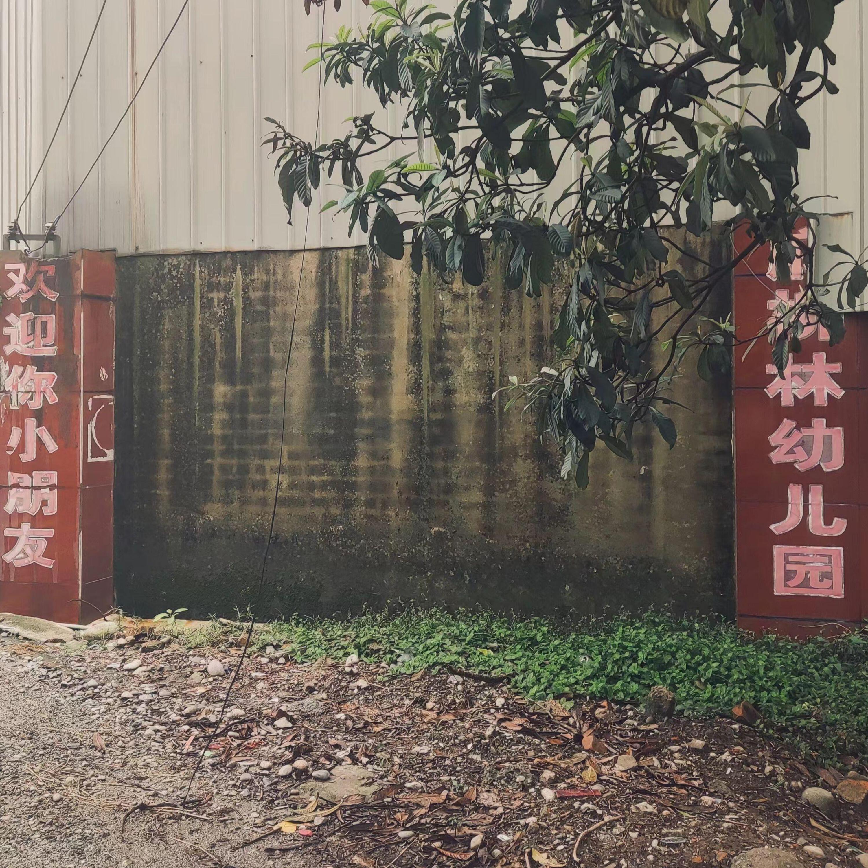 Релиз 麻柳林
