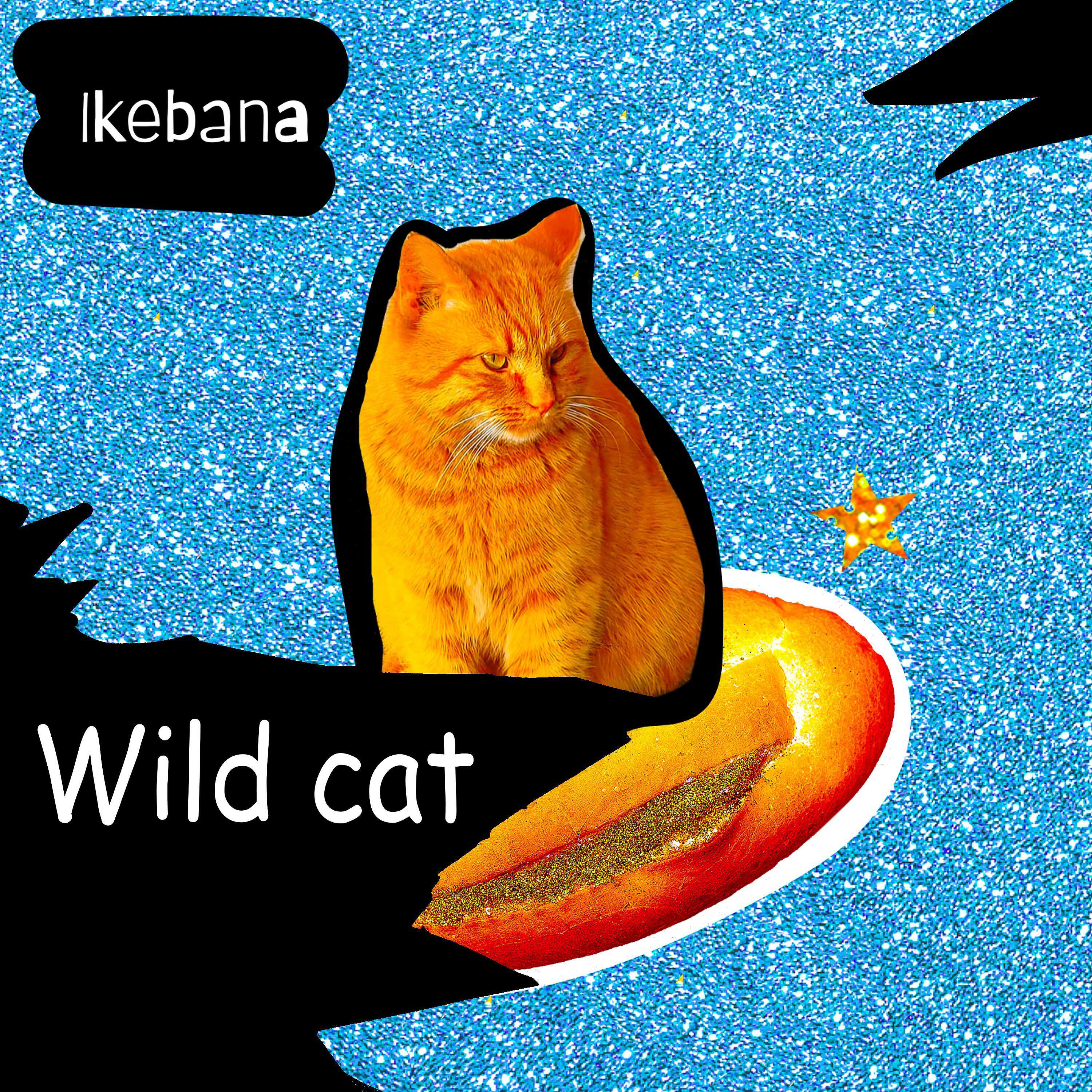 Релиз Wild Cat