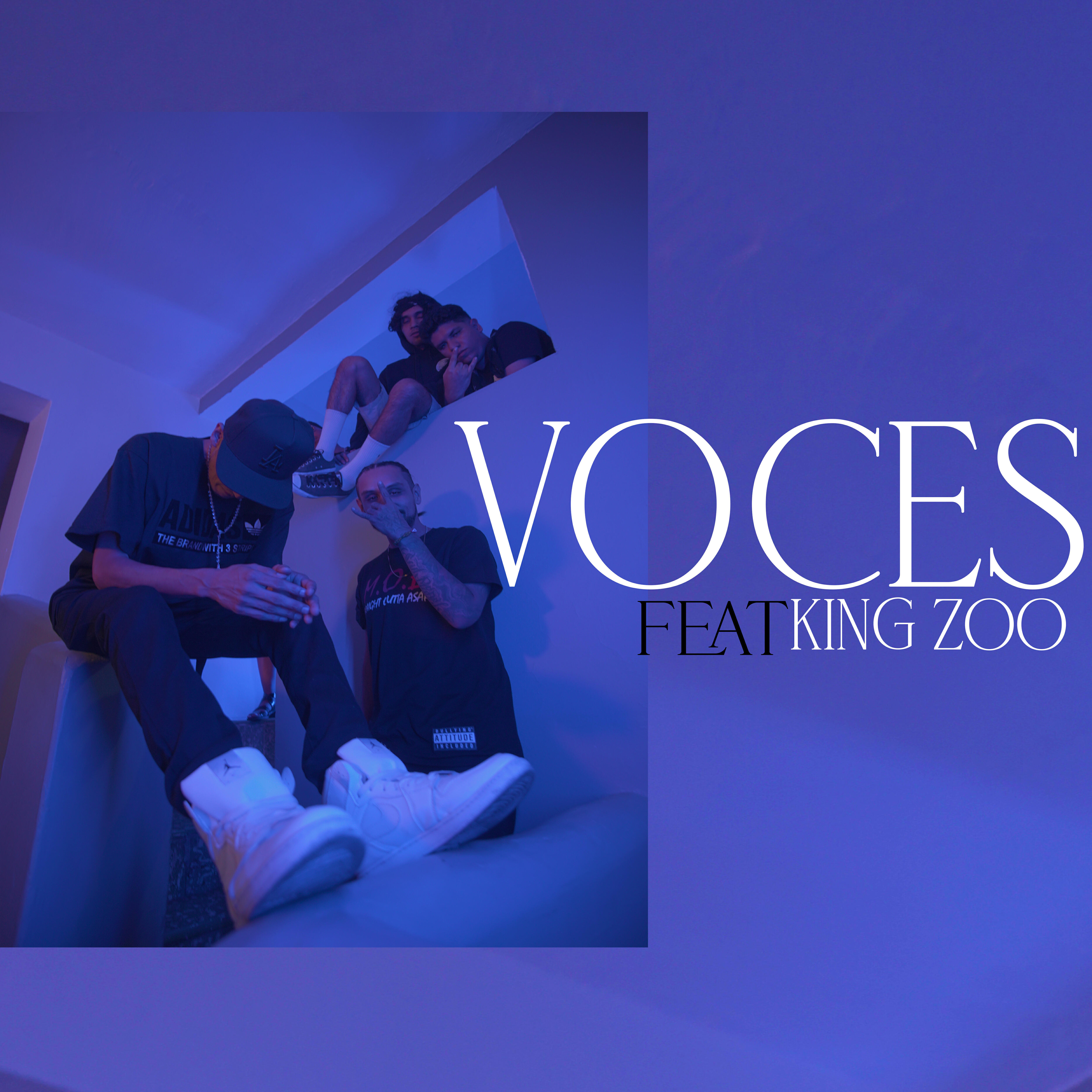 Релиз Voces