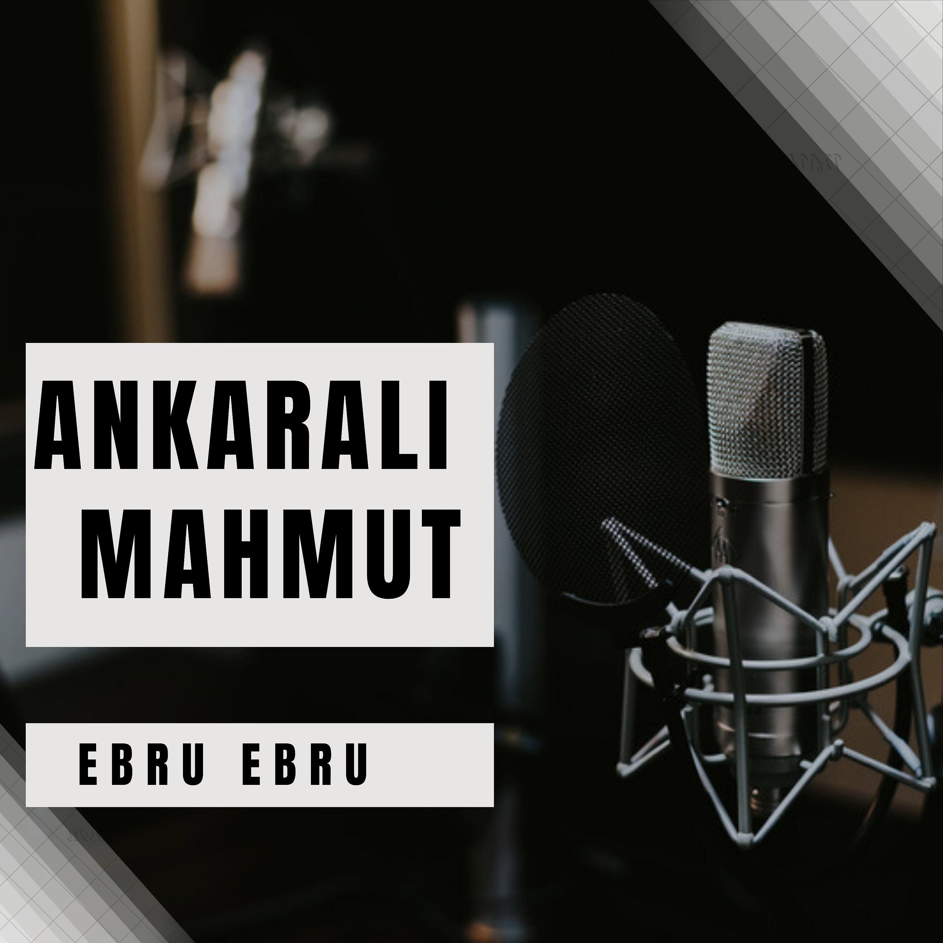 Релиз Ebru Ebru