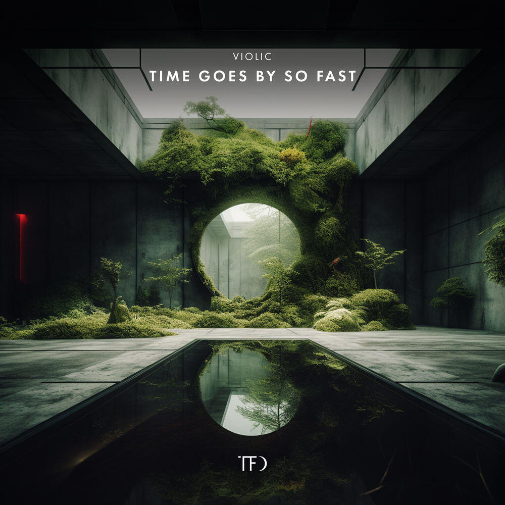 Релиз Time Goes by So Fast