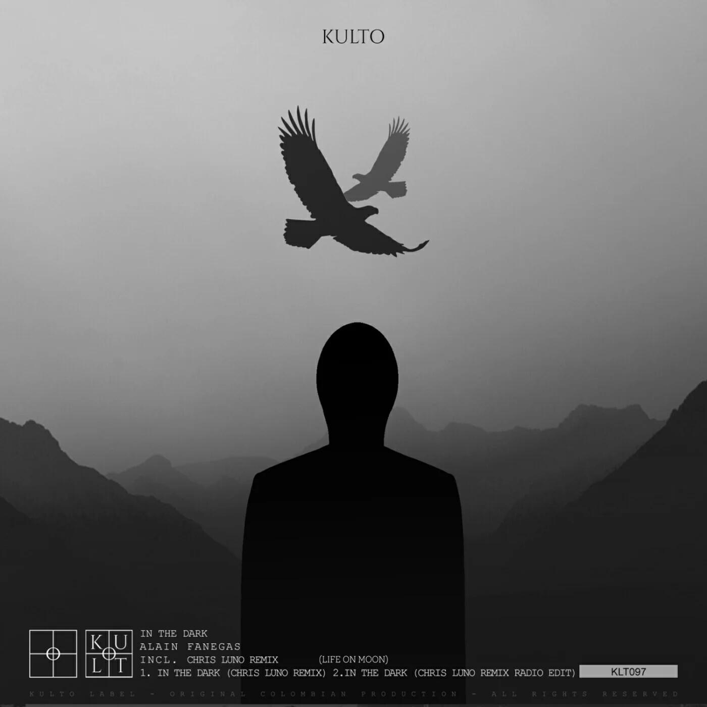 Релиз In the Dark (Chris Luno Remix Radio Edit)