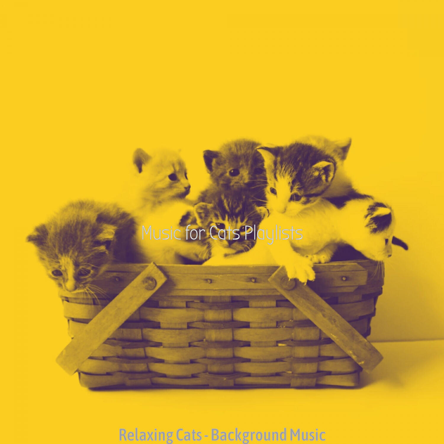 Релиз Relaxing Cats - Background Music