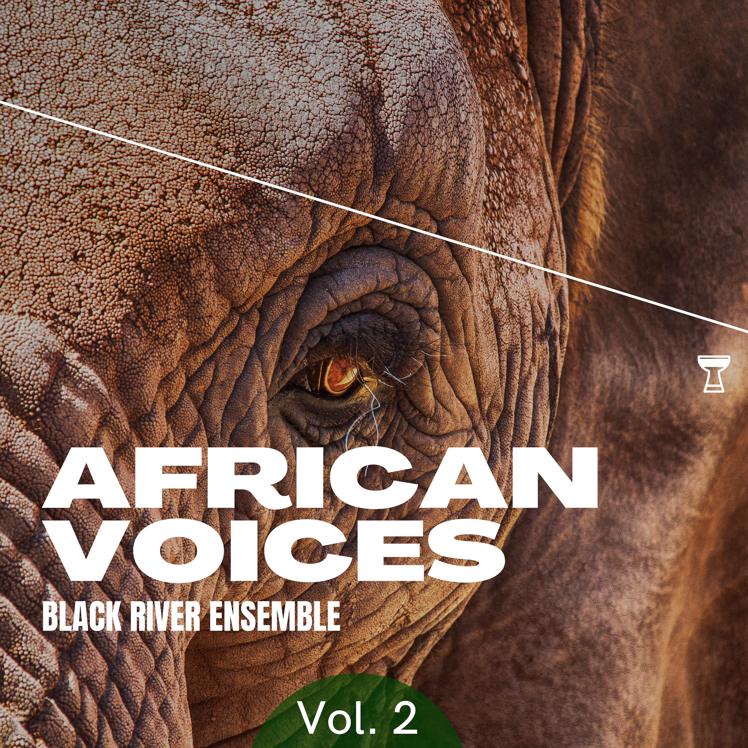 Релиз African Voices, Vol. 2