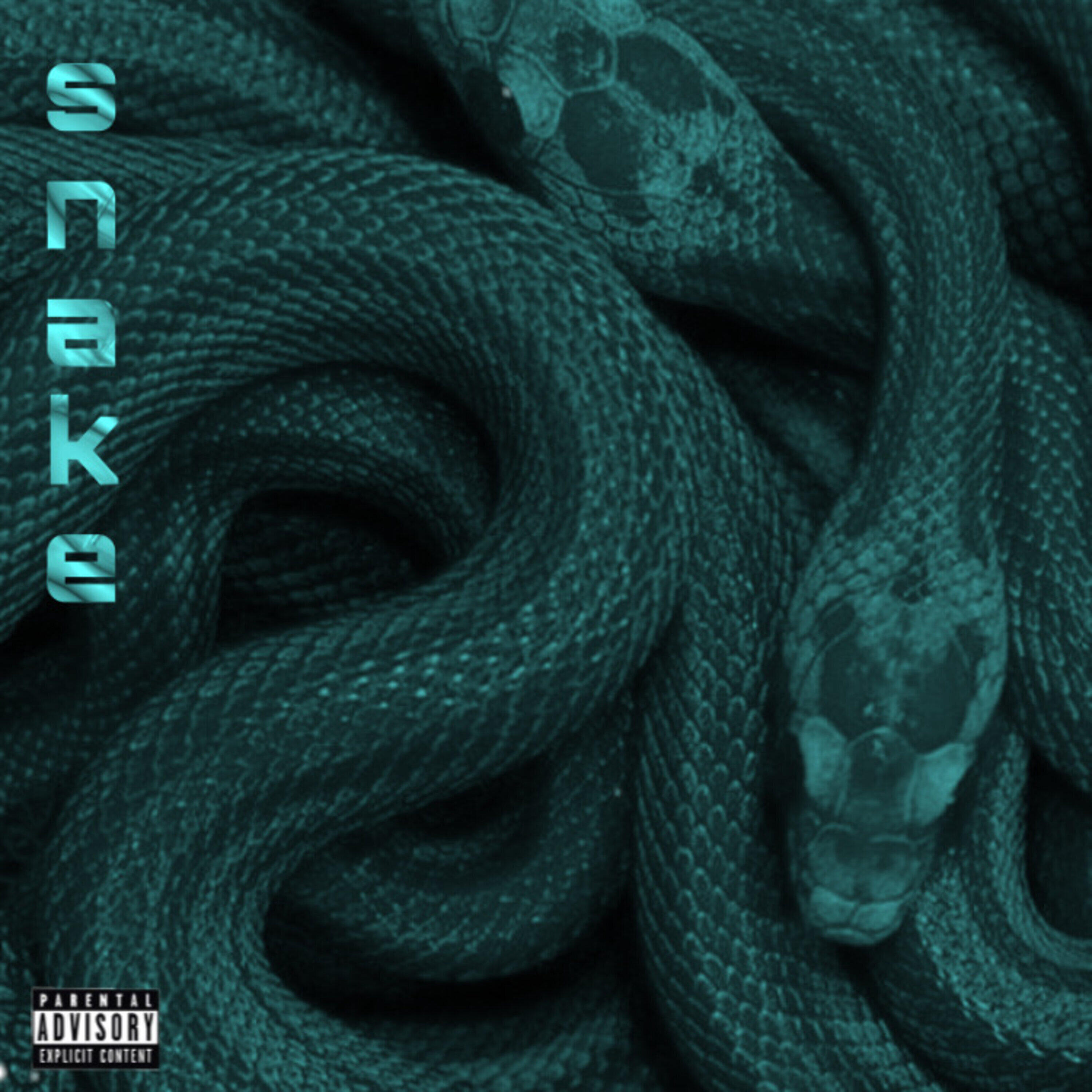 Релиз Snake