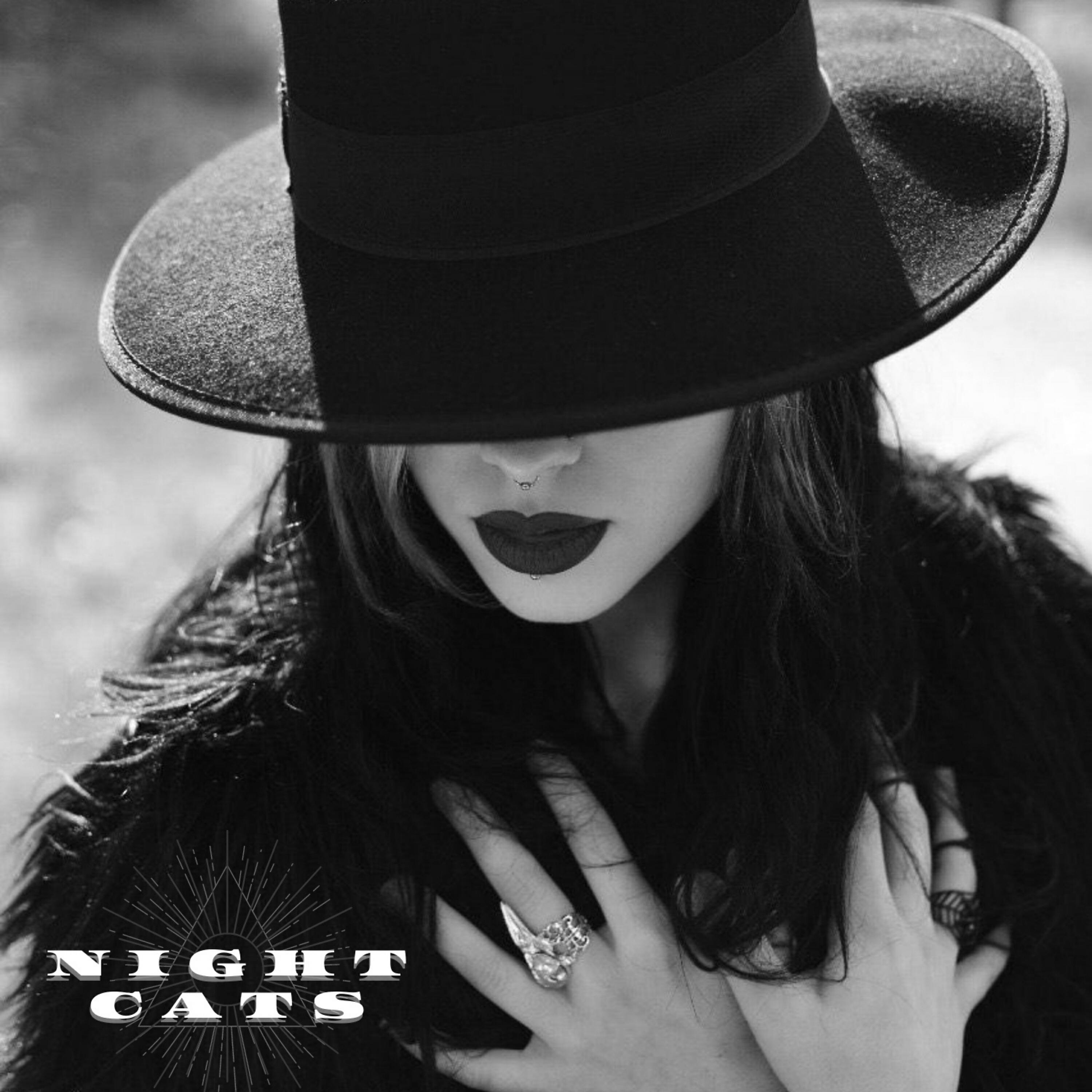 Релиз Night Cats