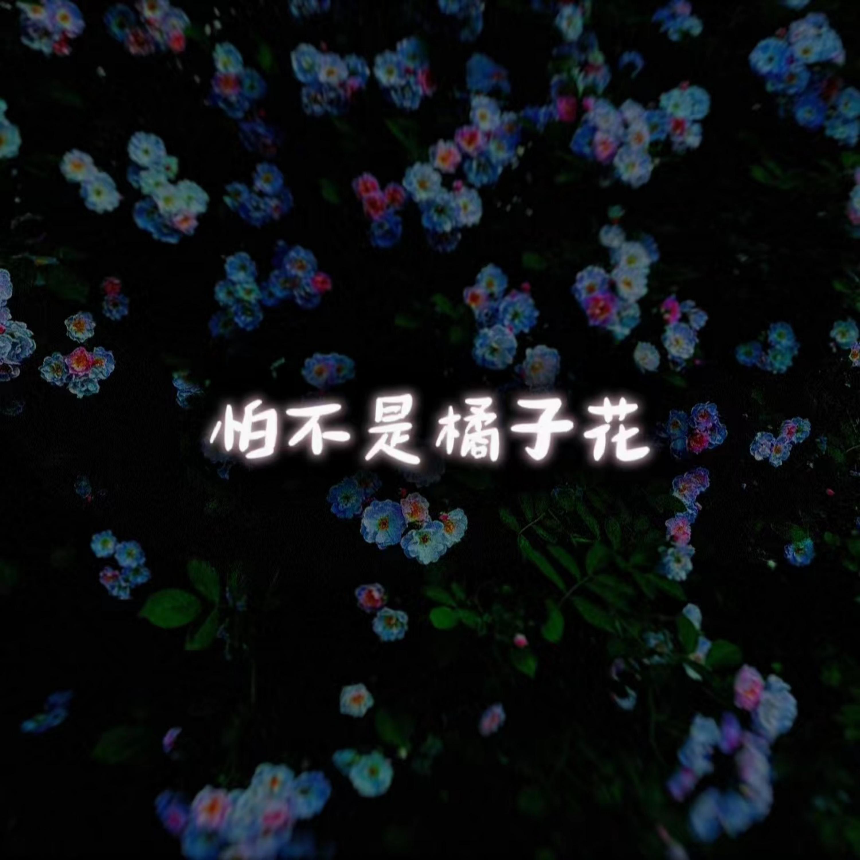 Релиз 怕不是橘子花