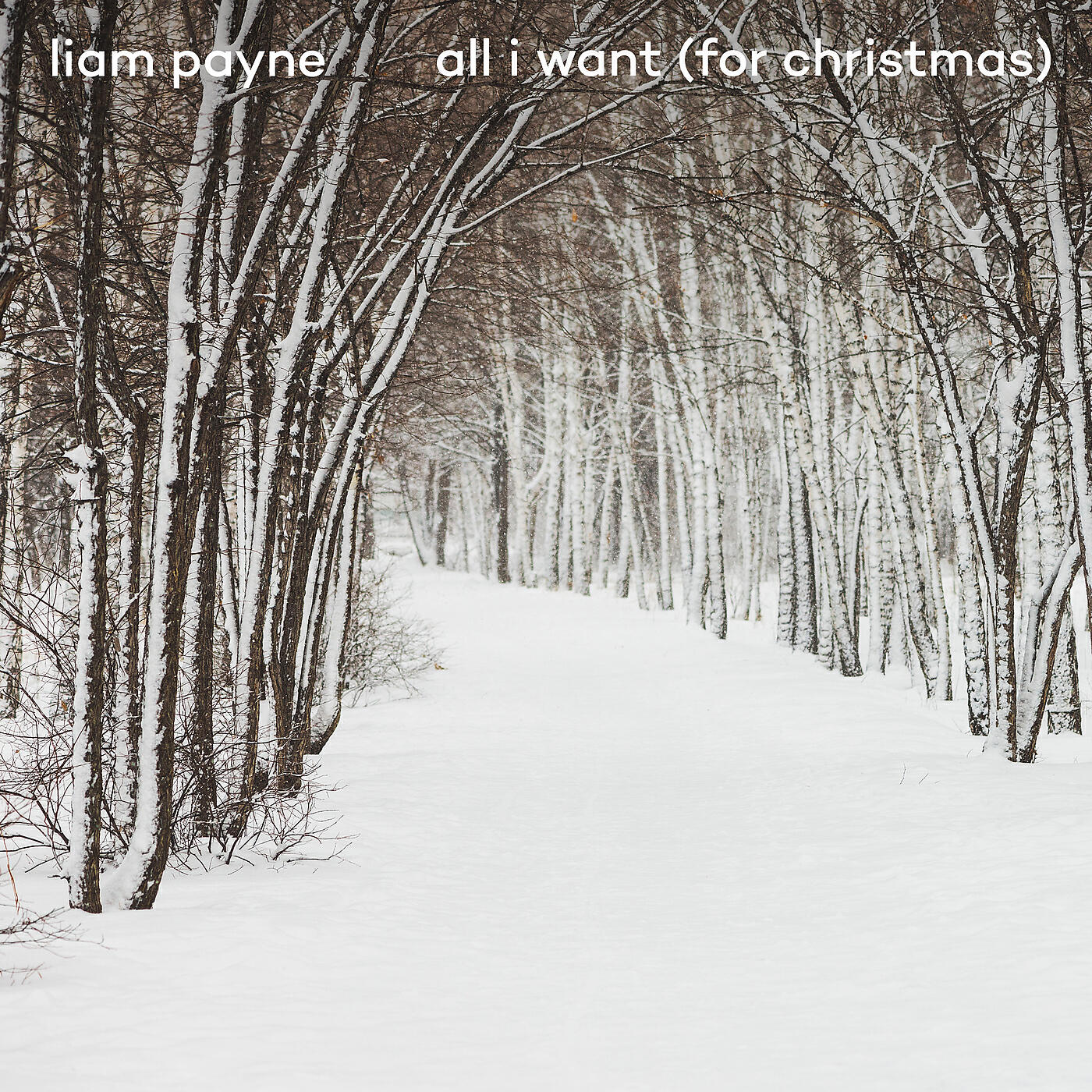 Скачать песню Liam Payne - All I Want (For Christmas) бесплатно в MP3 для Android и iOS
