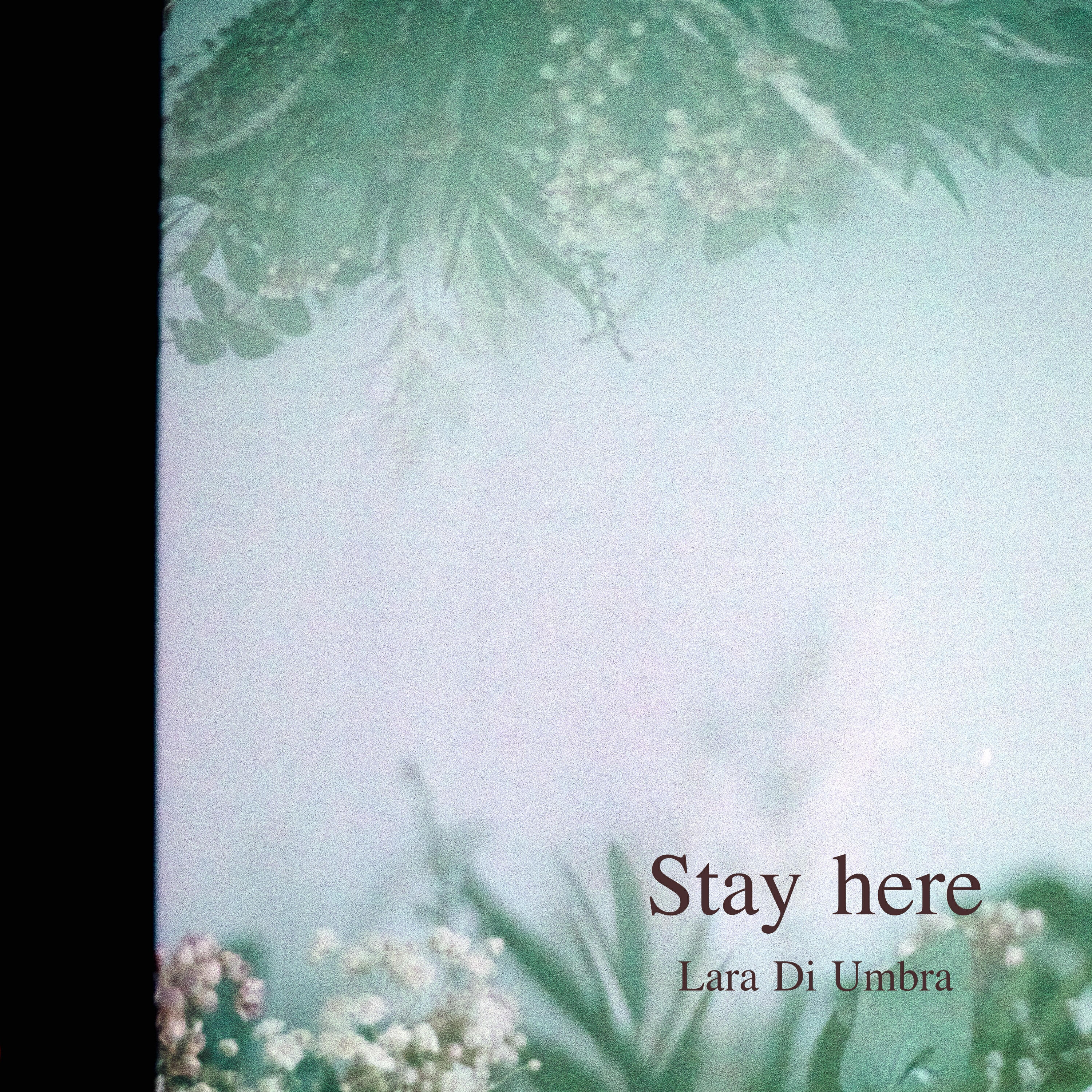 Релиз Stay here