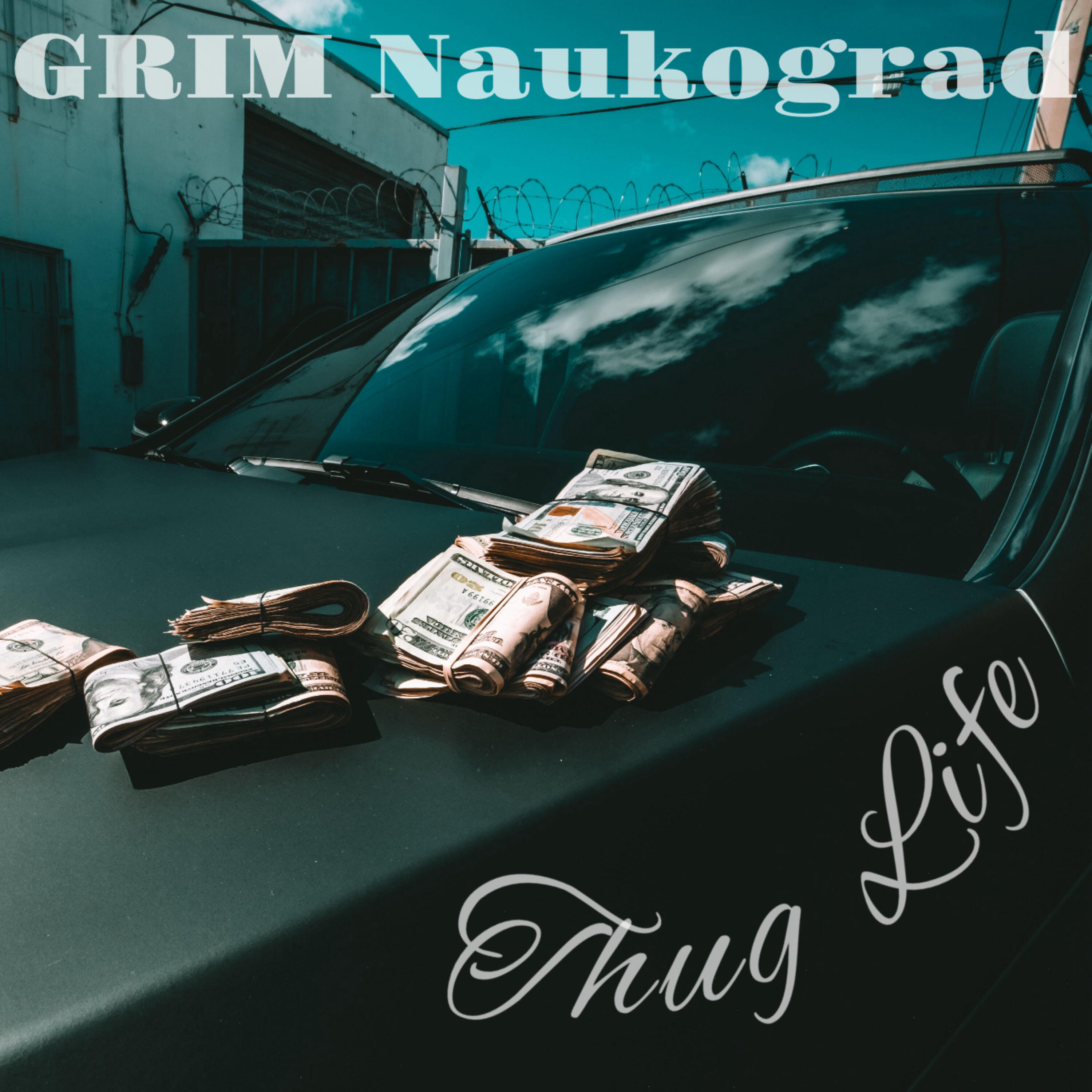 Релиз Thug Life