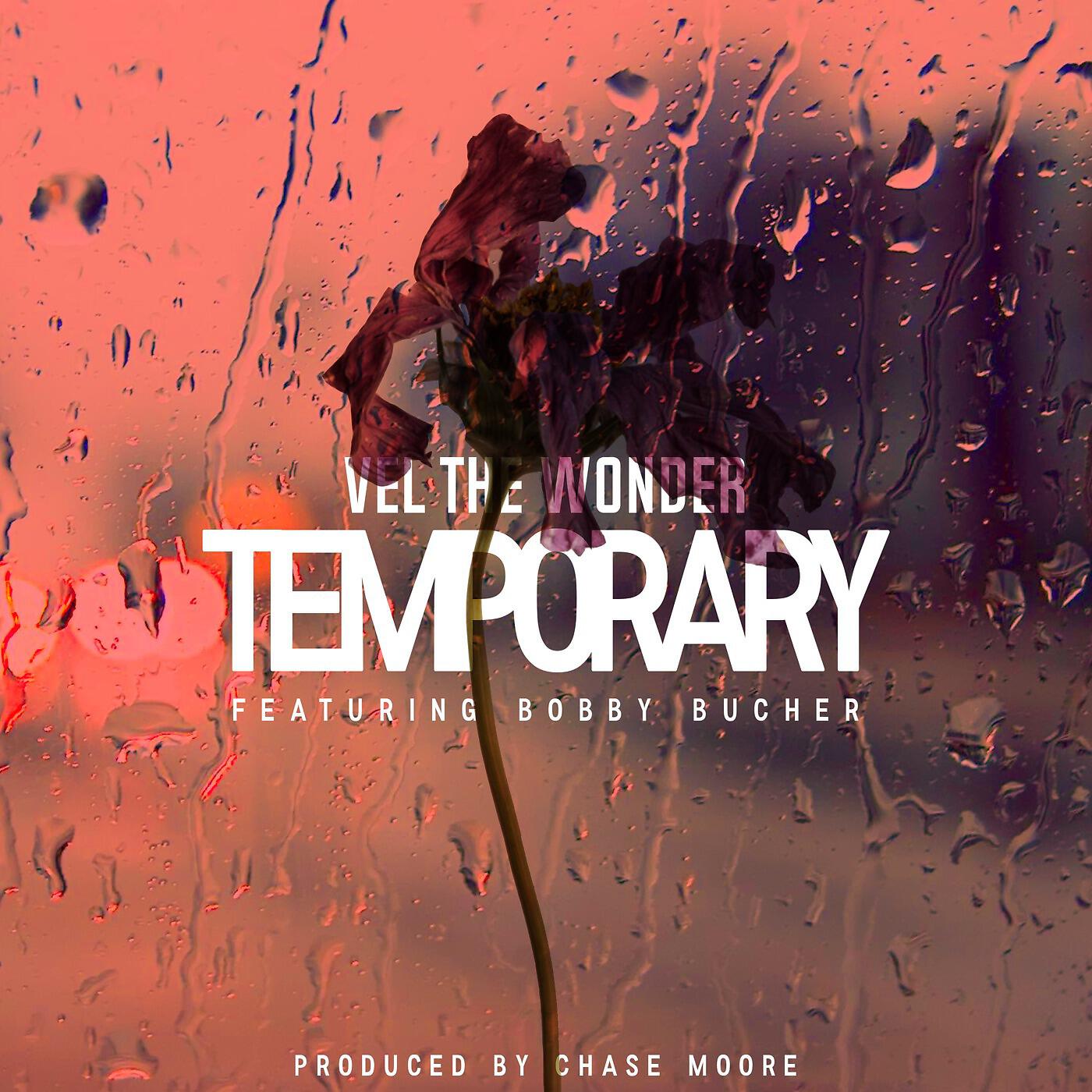 Релиз Temporary (feat. Bobby Bucher)