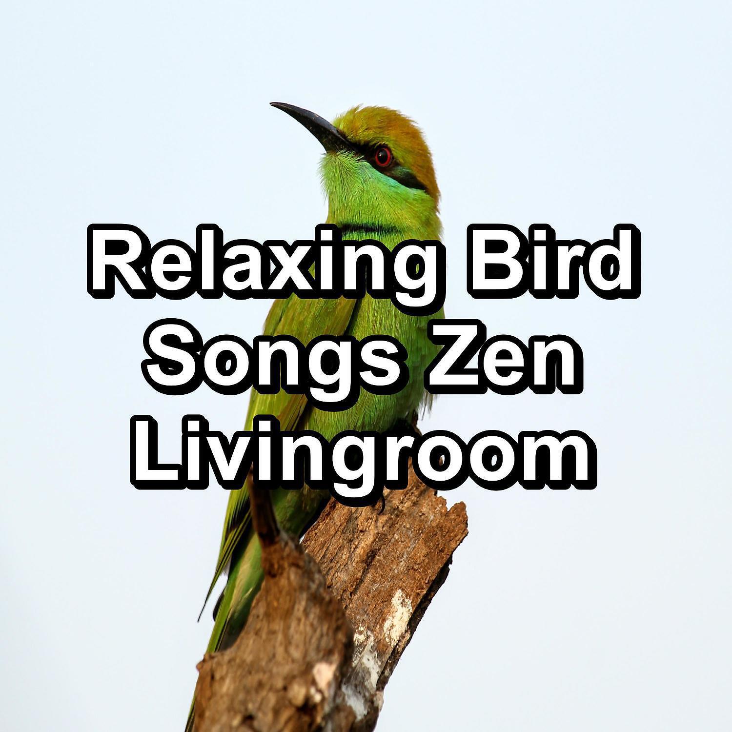 Релиз Relaxing Bird Songs Zen Livingroom