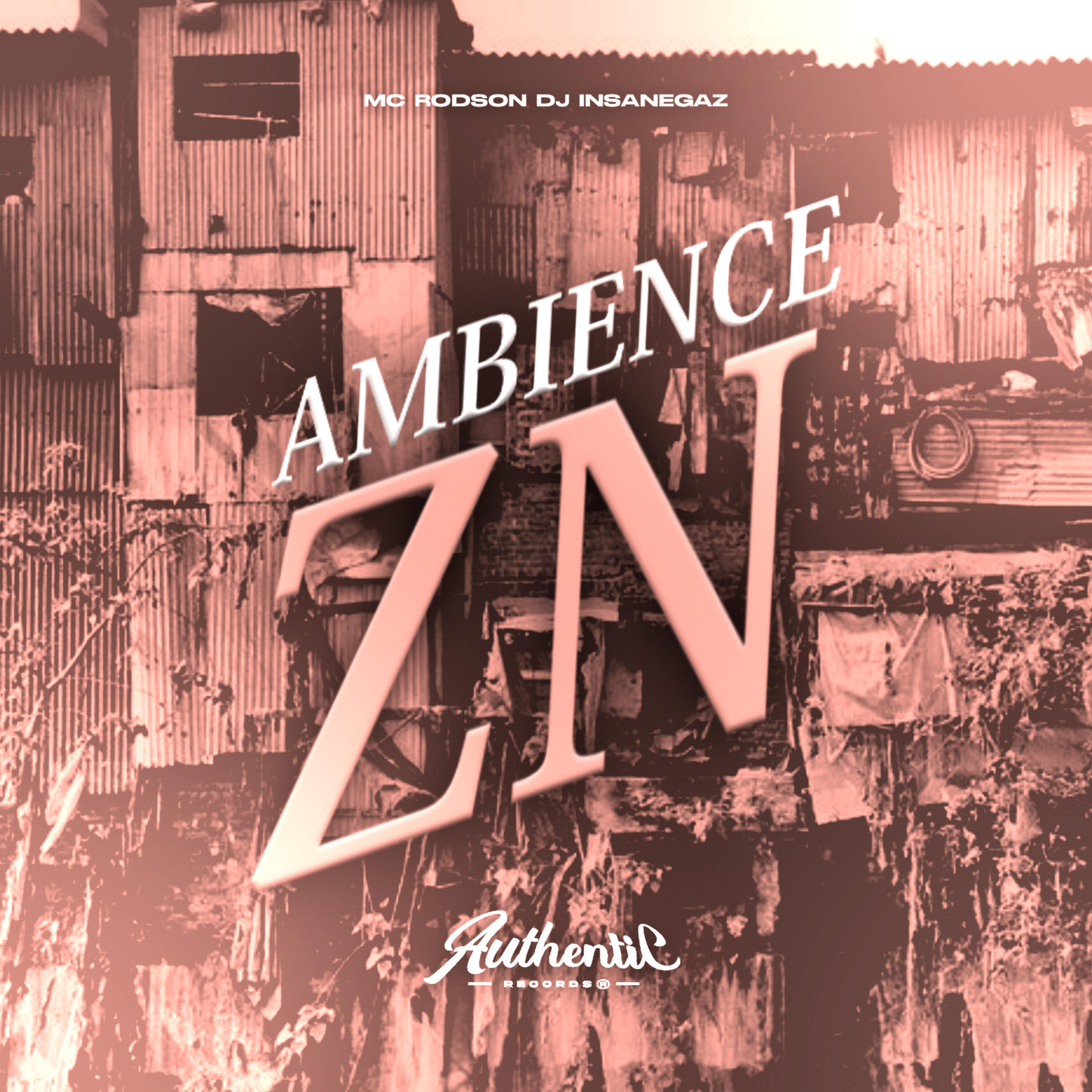Релиз Ambience Zn