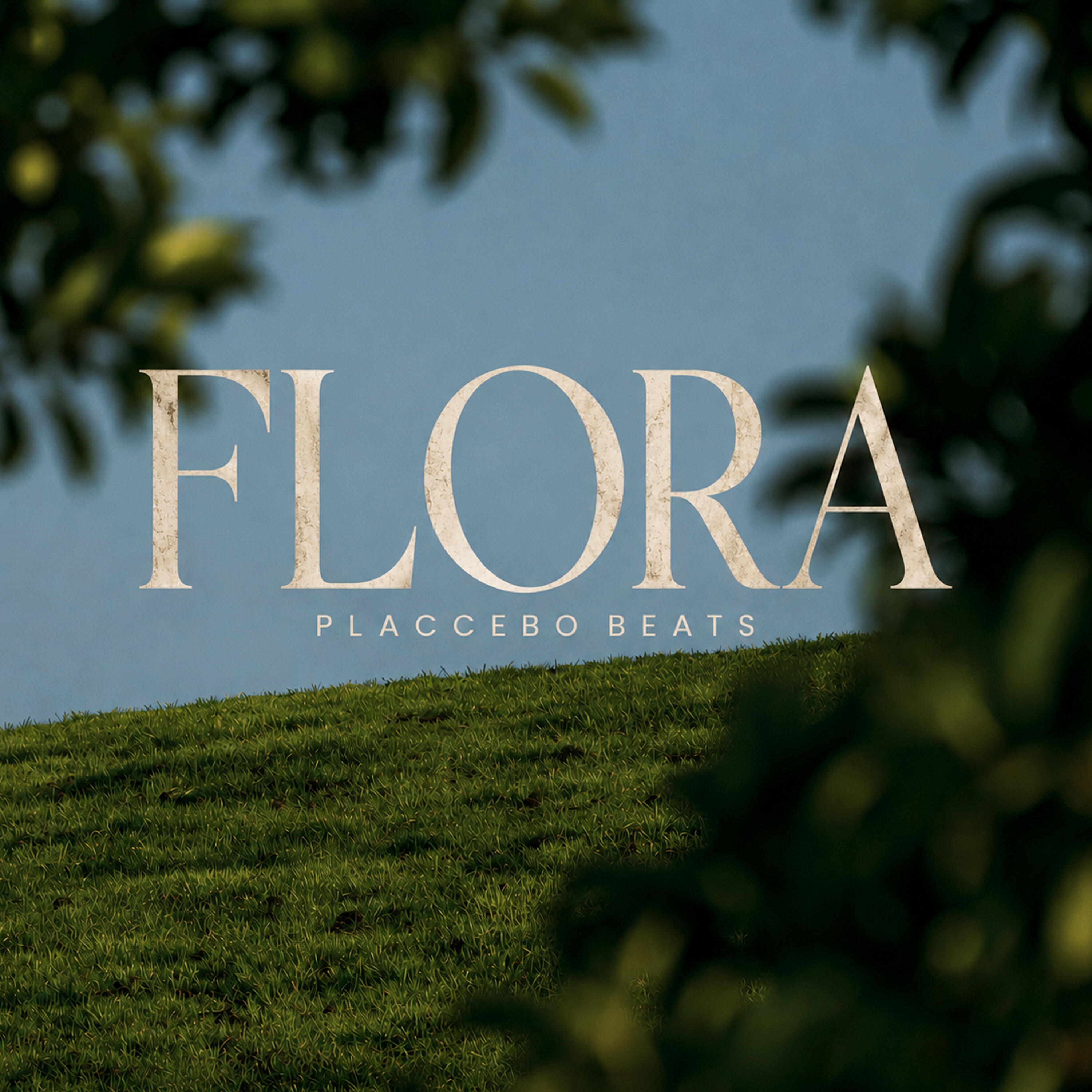 Релиз Flora