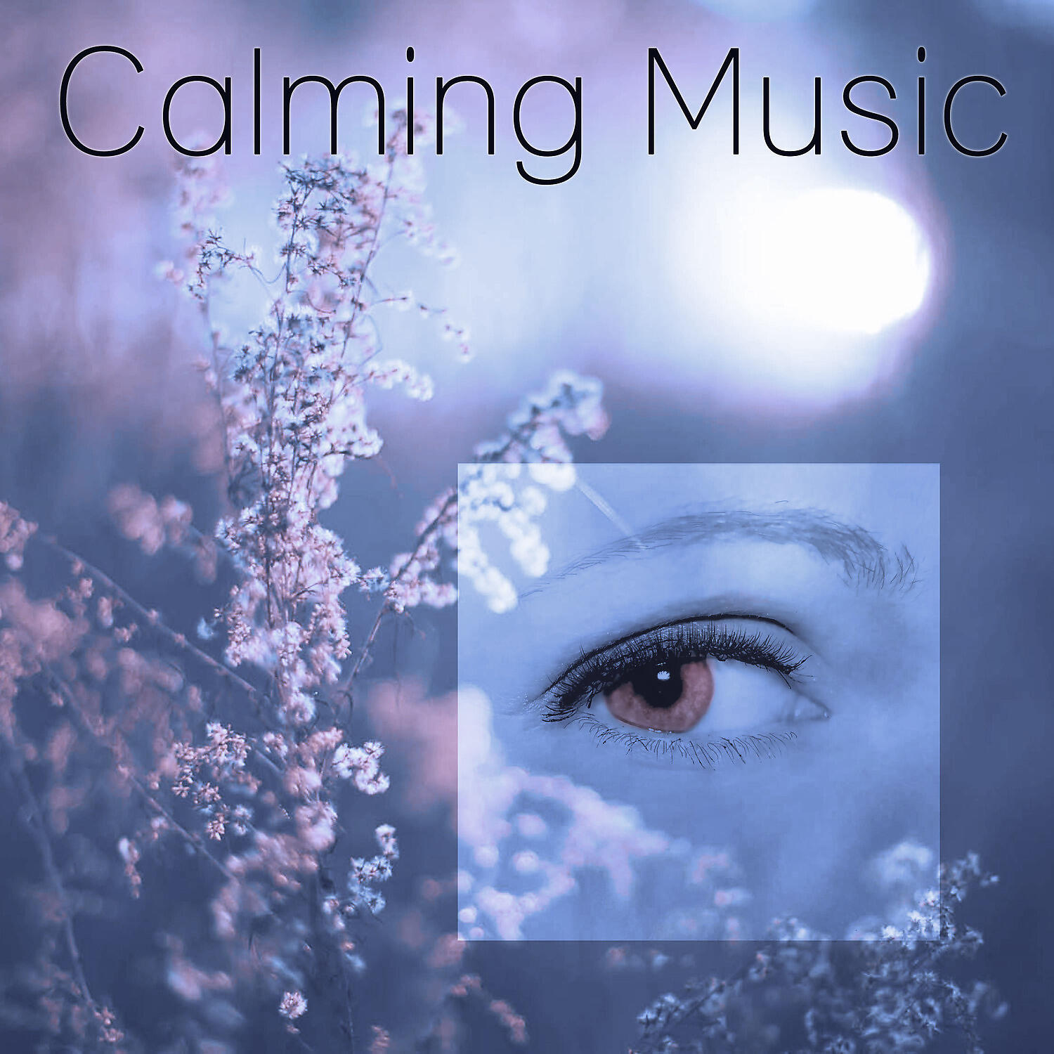 Трек Relaxing Spa Sounds