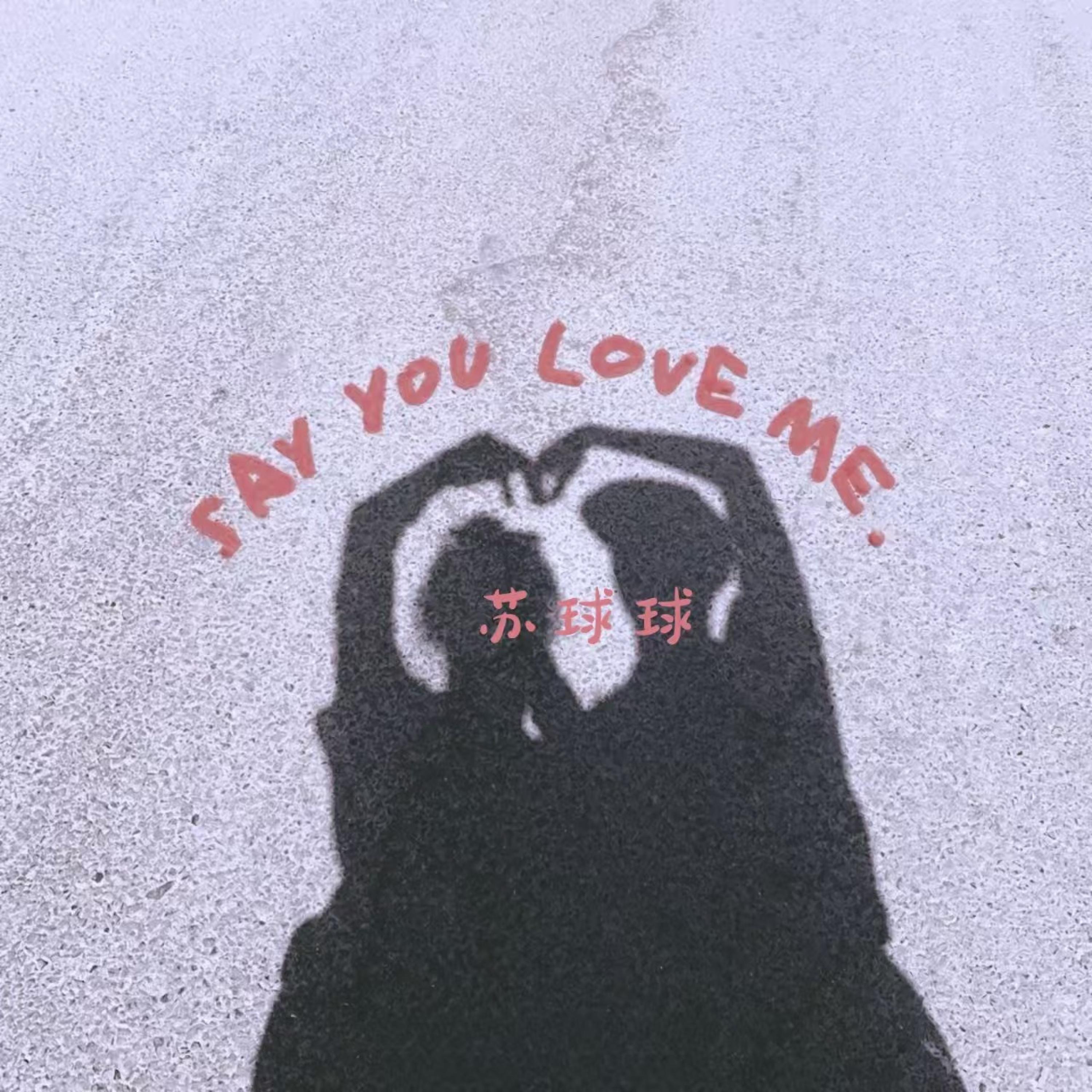 Релиз Say You Love Me