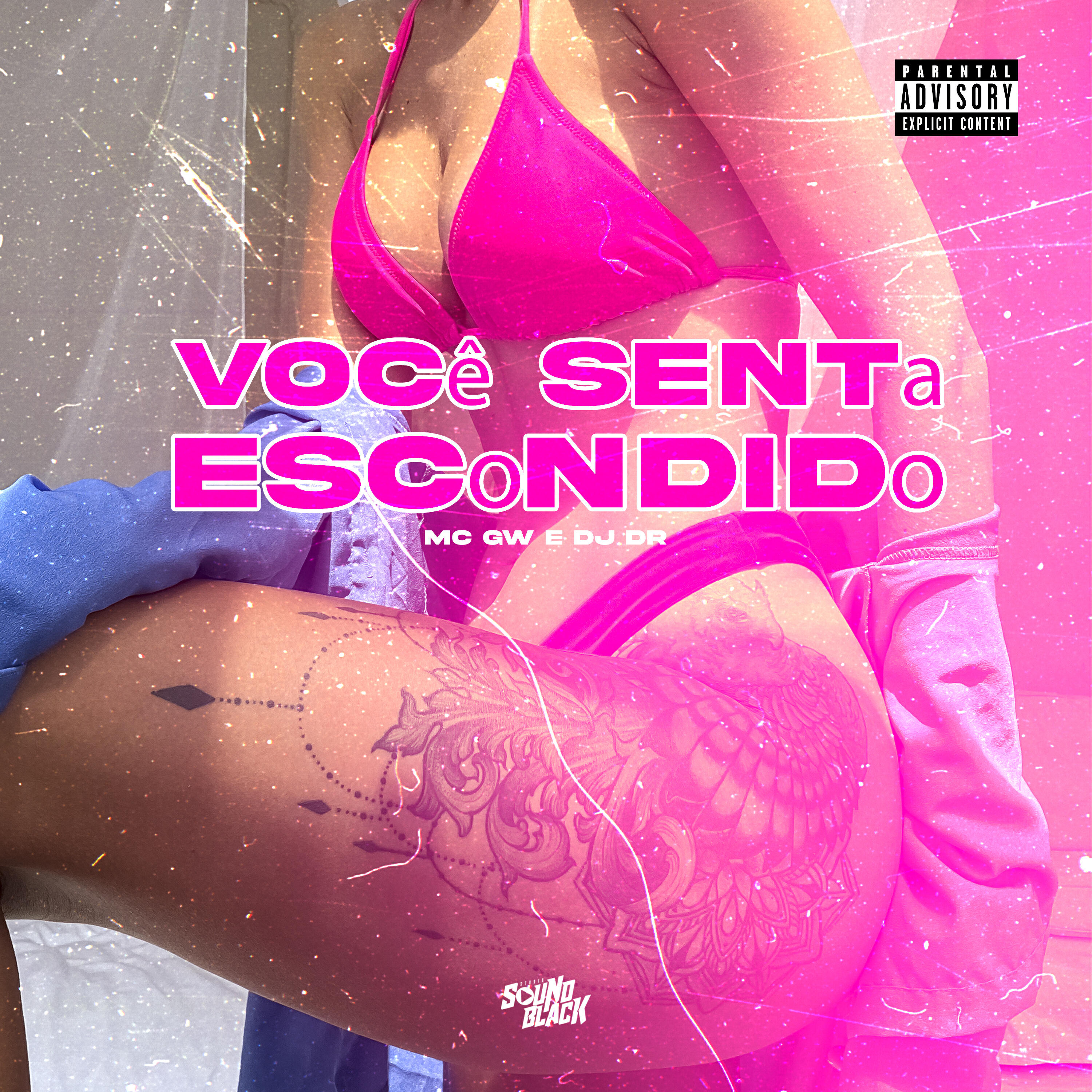 Скачать песню DJ Dr, Mc GW - Você Senta Escondido бесплатно в MP3 для Android и iOS