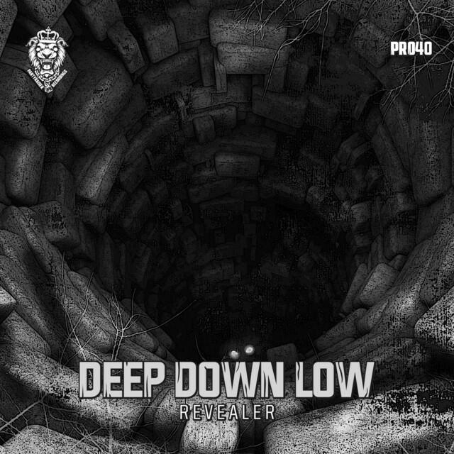 Релиз Deep Down Low