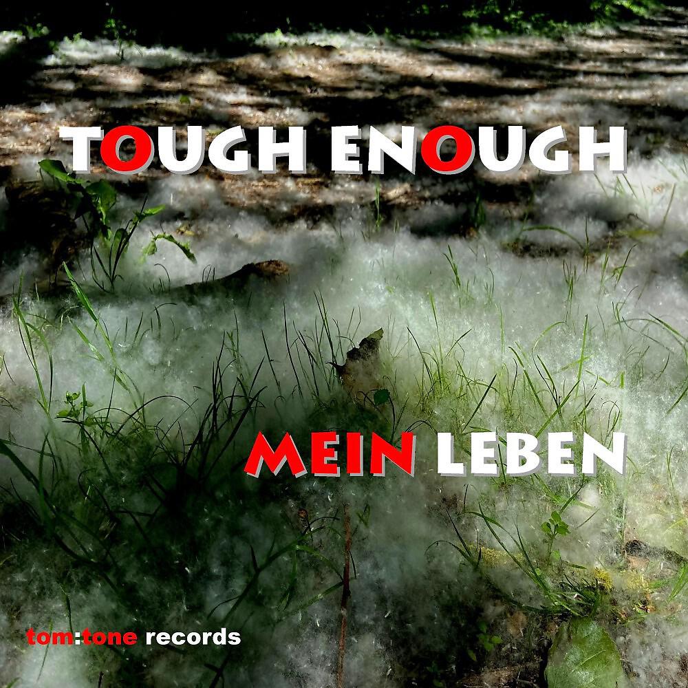 Релиз Mein Leben