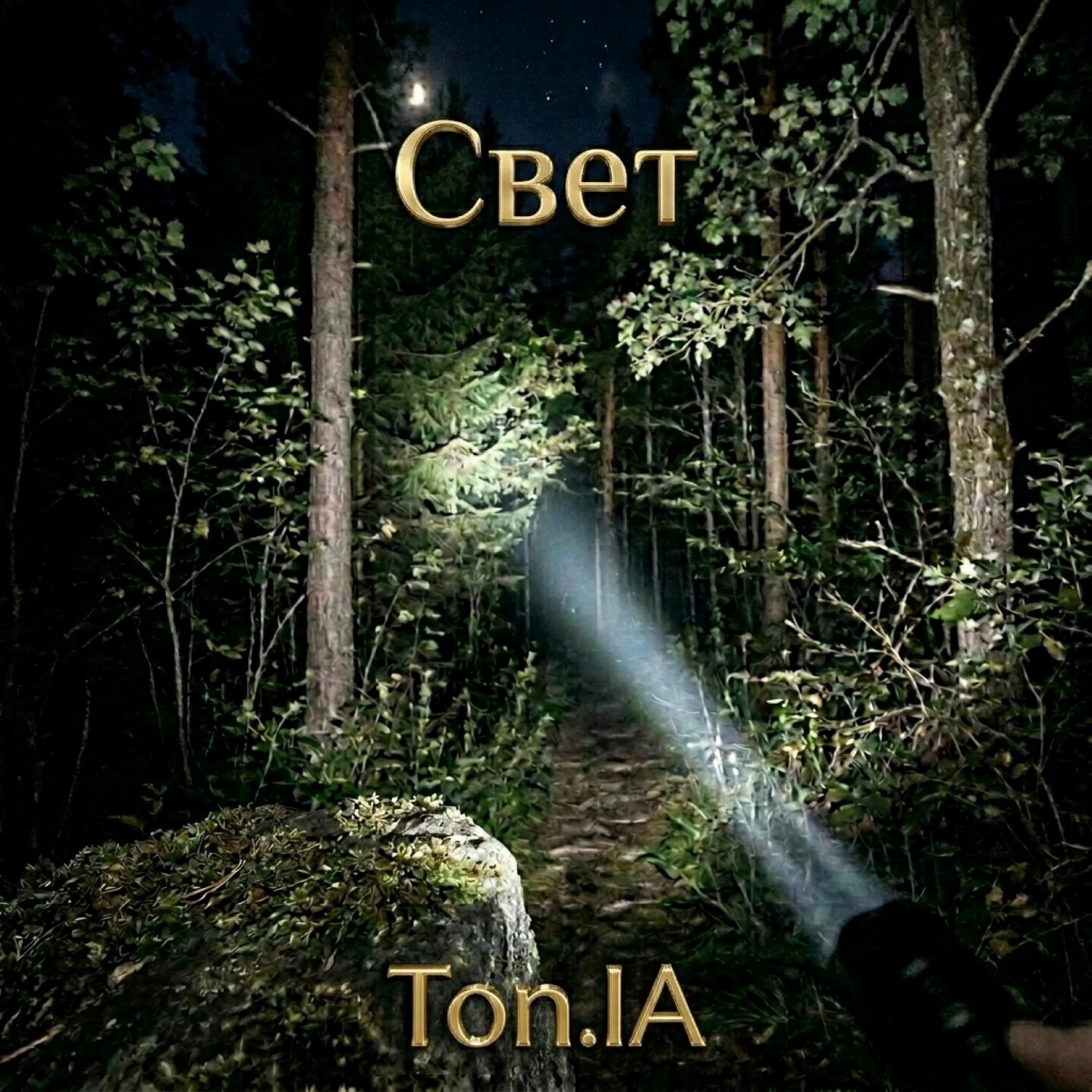Релиз Свет