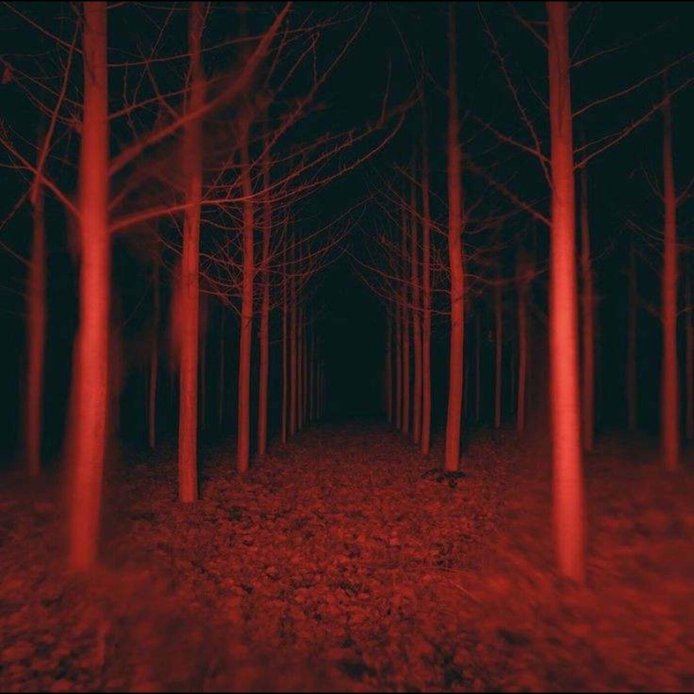 Релиз If You Only Knew