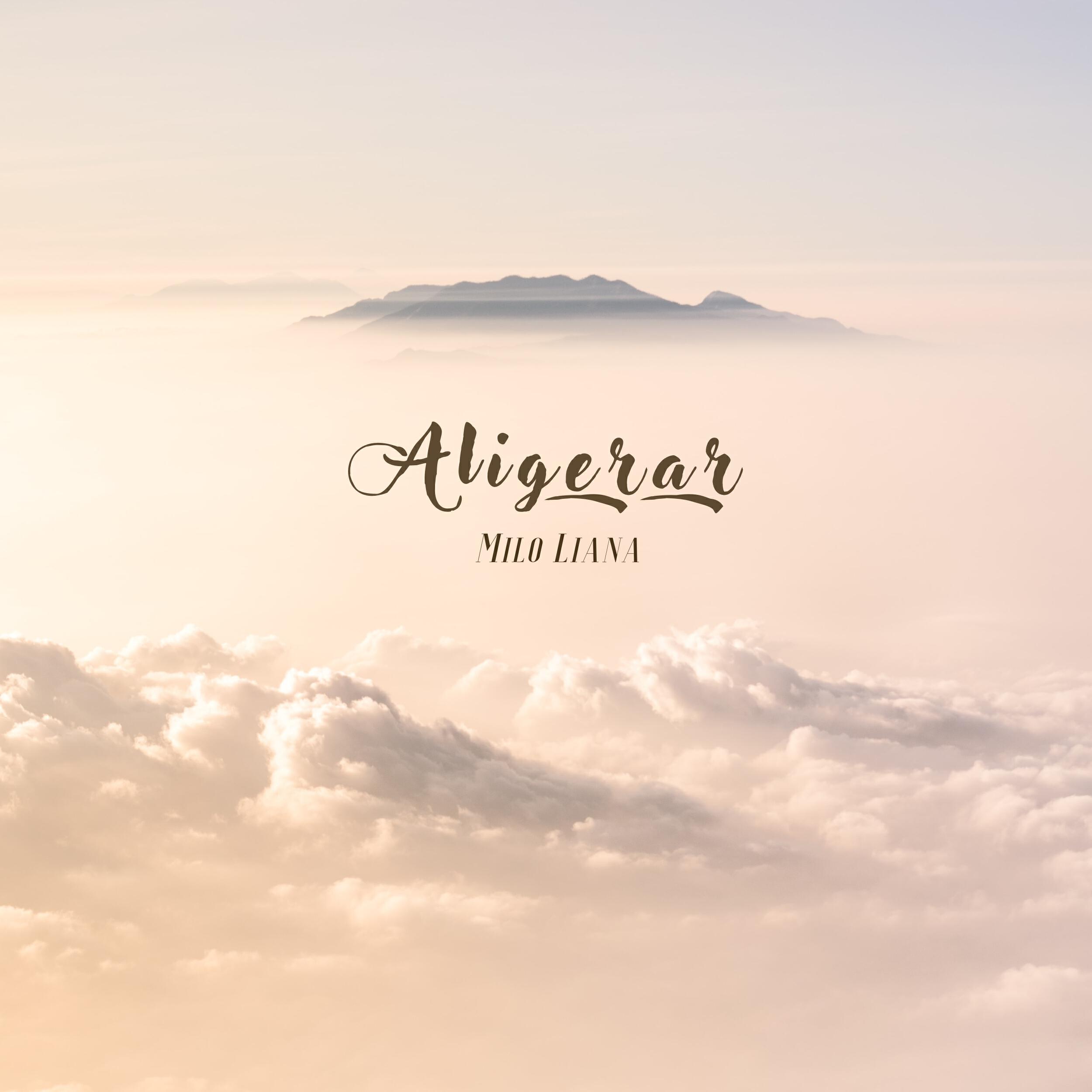 Релиз Aligerar