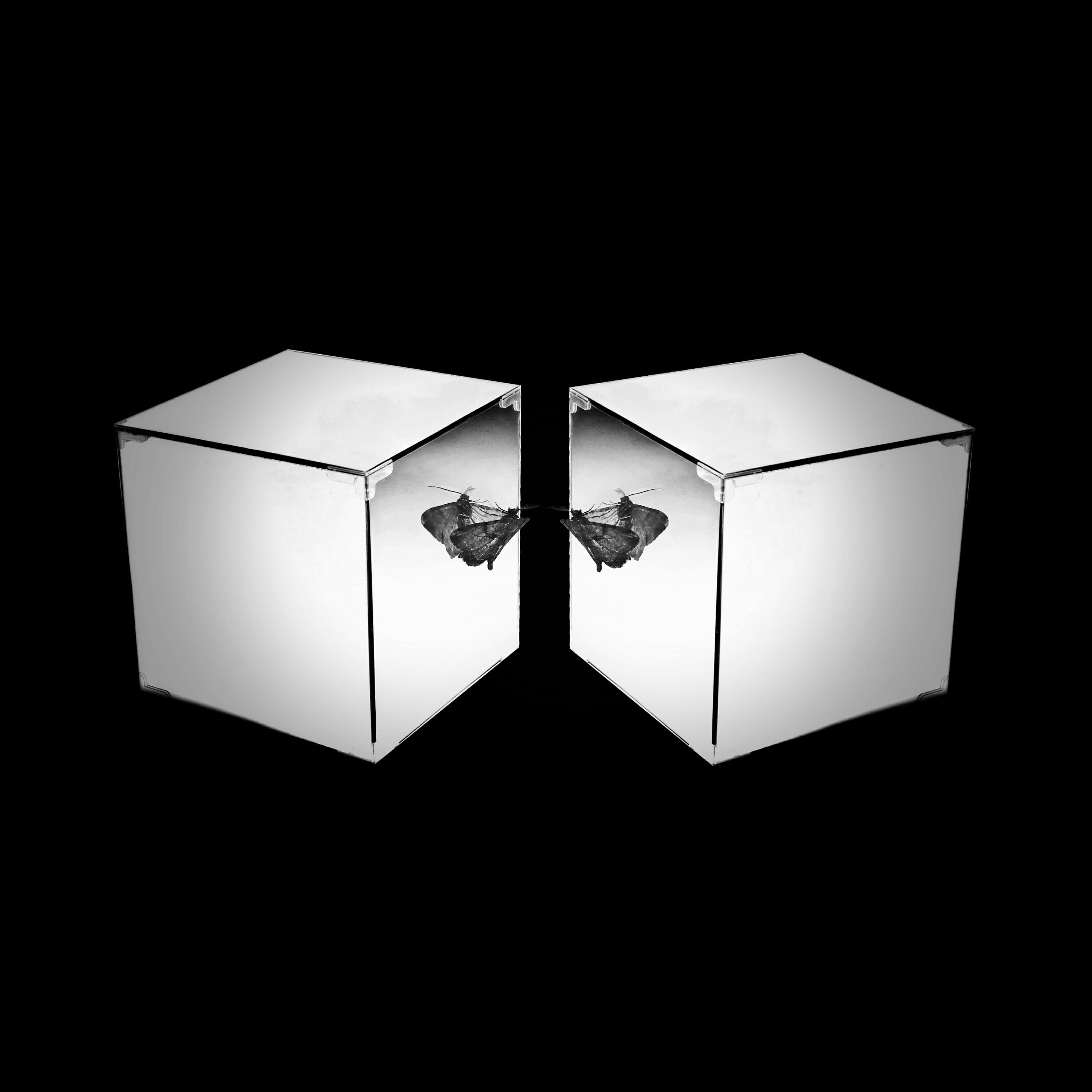 Релиз The Nothingness