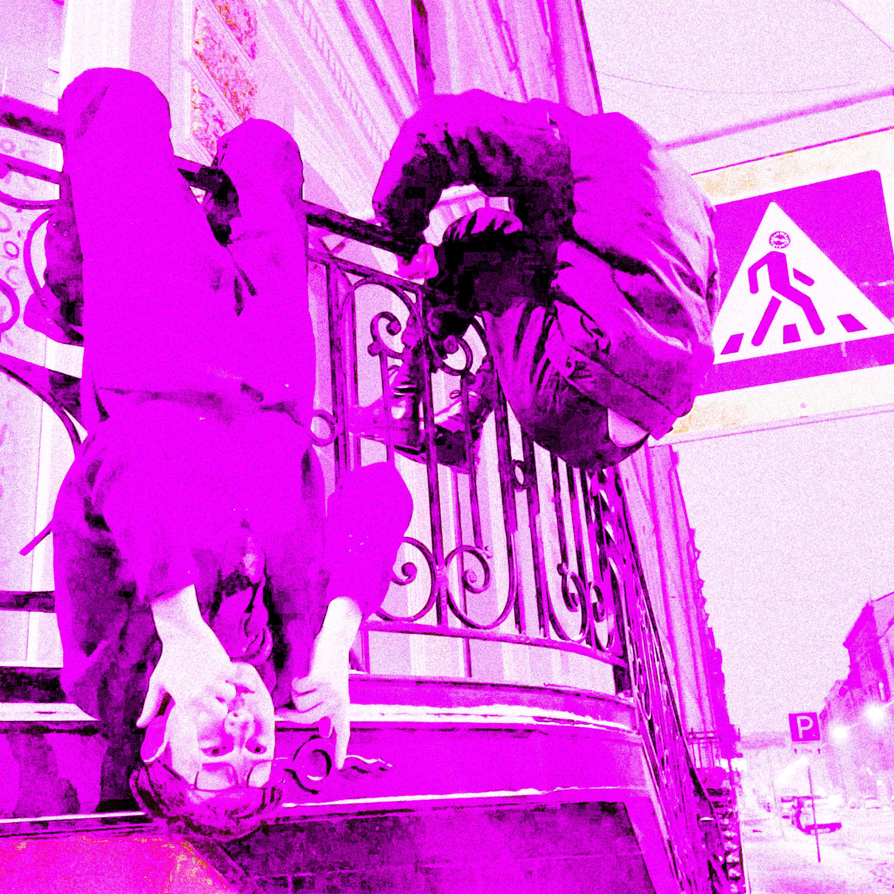 мотособака