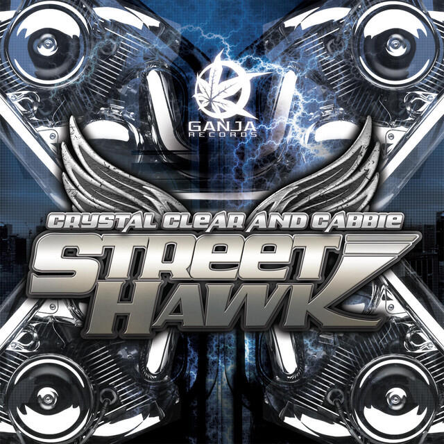 Релиз Street Hawk / Cold Blooded