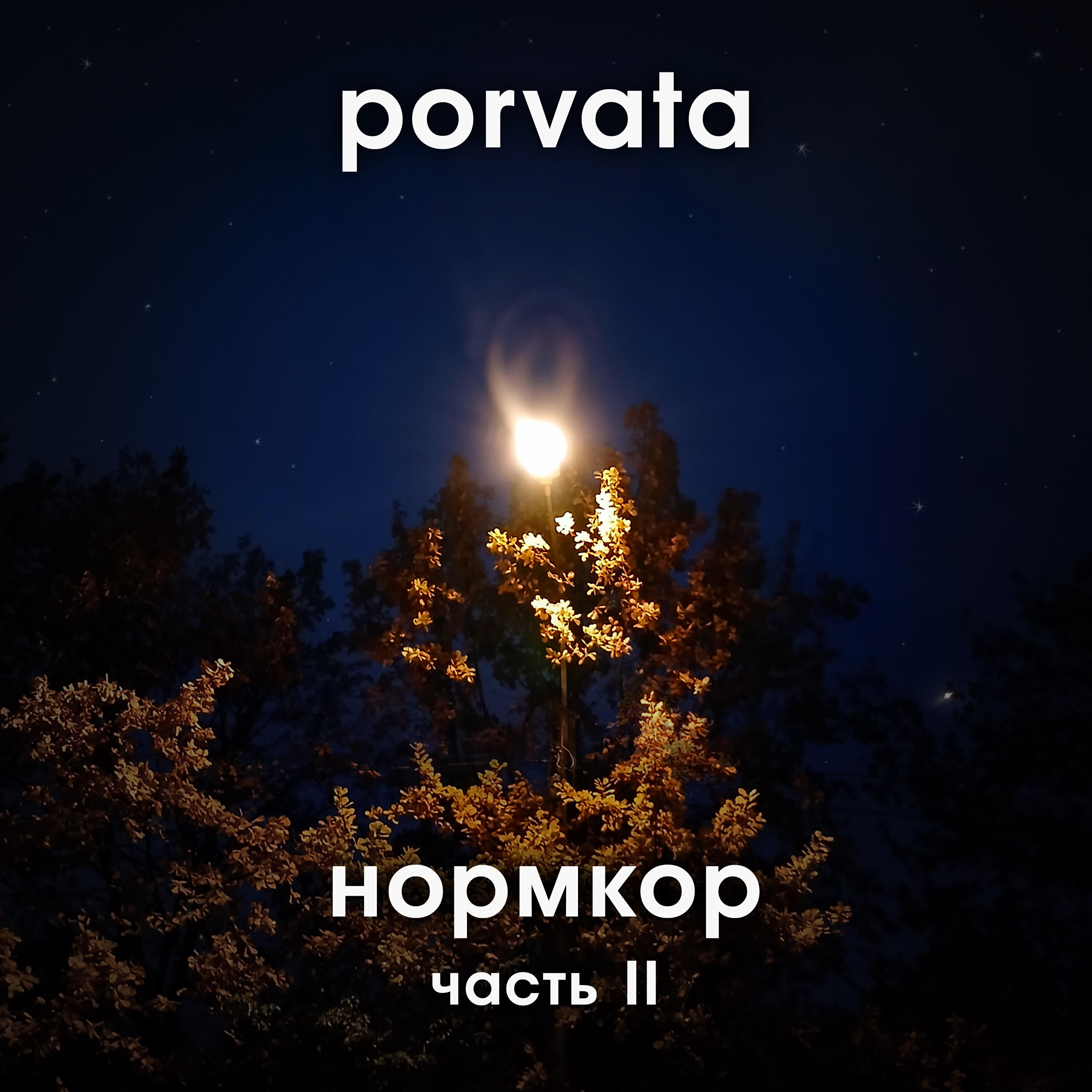 Релиз Нормкор, Часть II