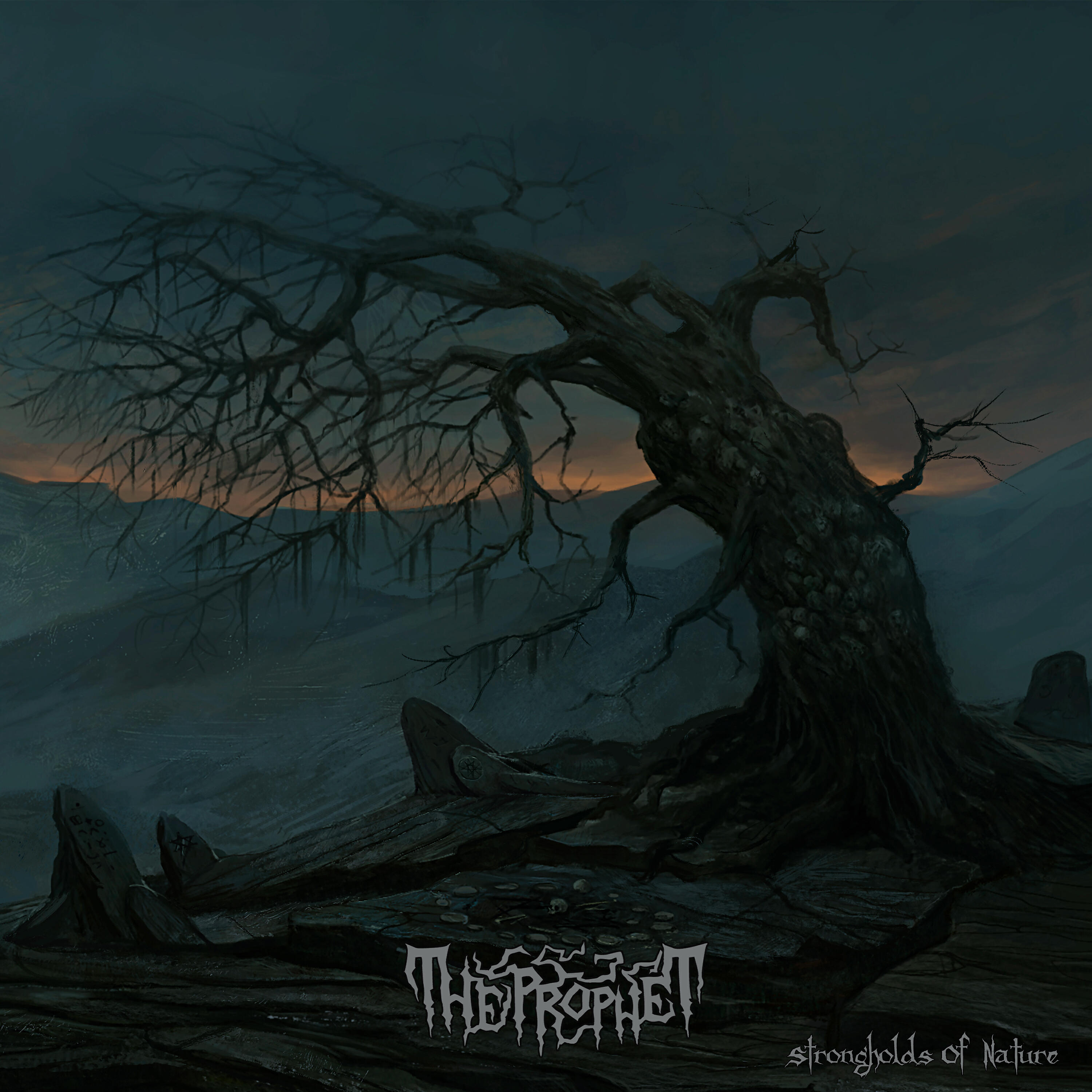 Релиз Strongholds of Nature