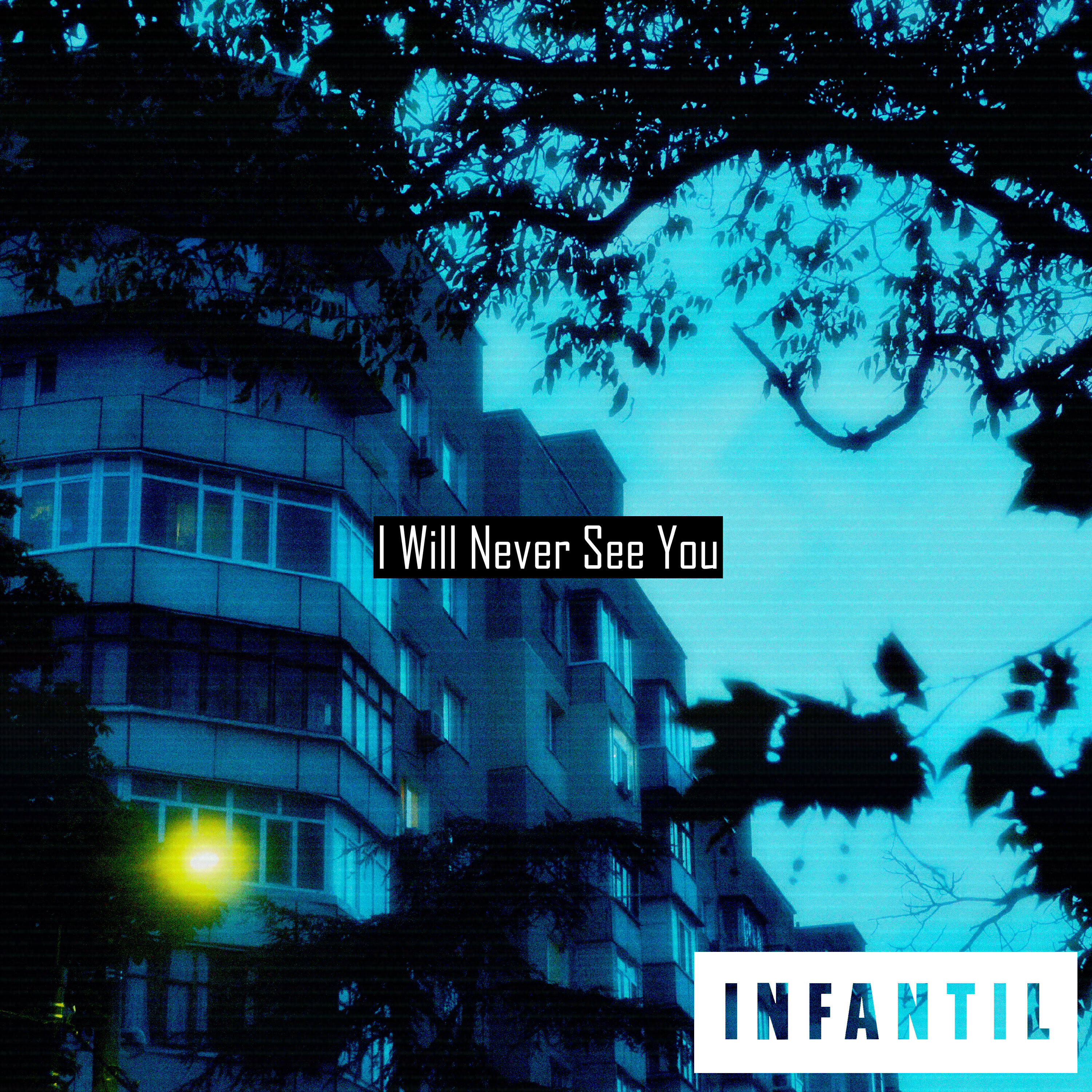Релиз I Will Never See You