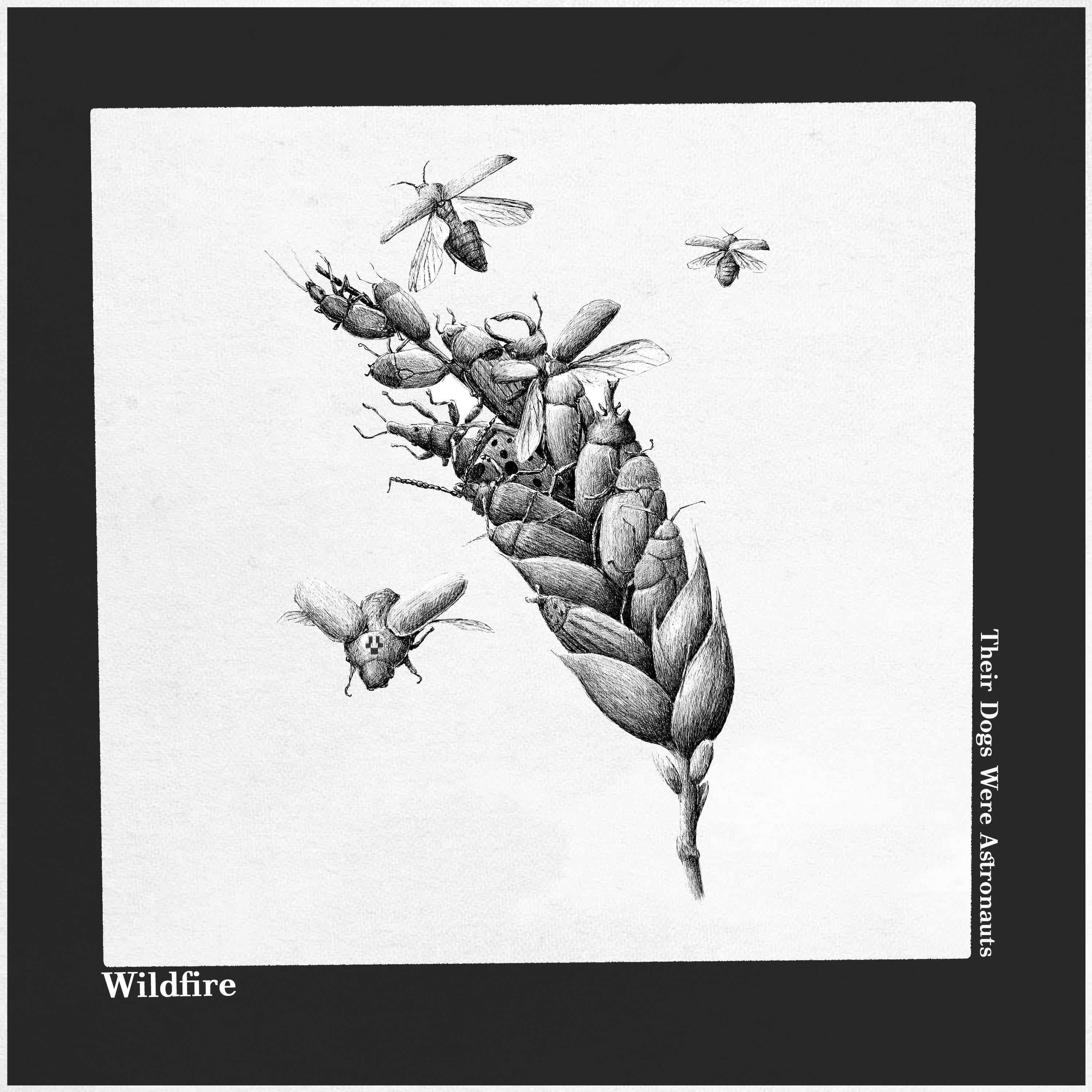 Релиз Wildfire