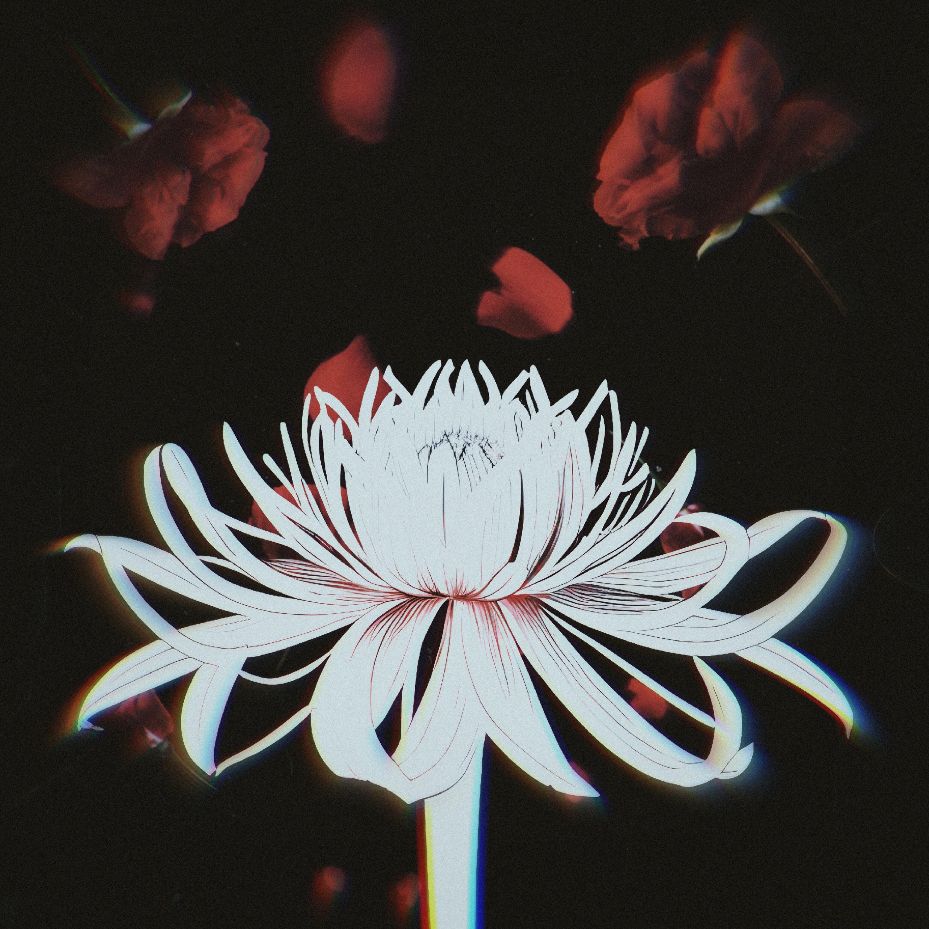 Релиз FUN IN THE HEART