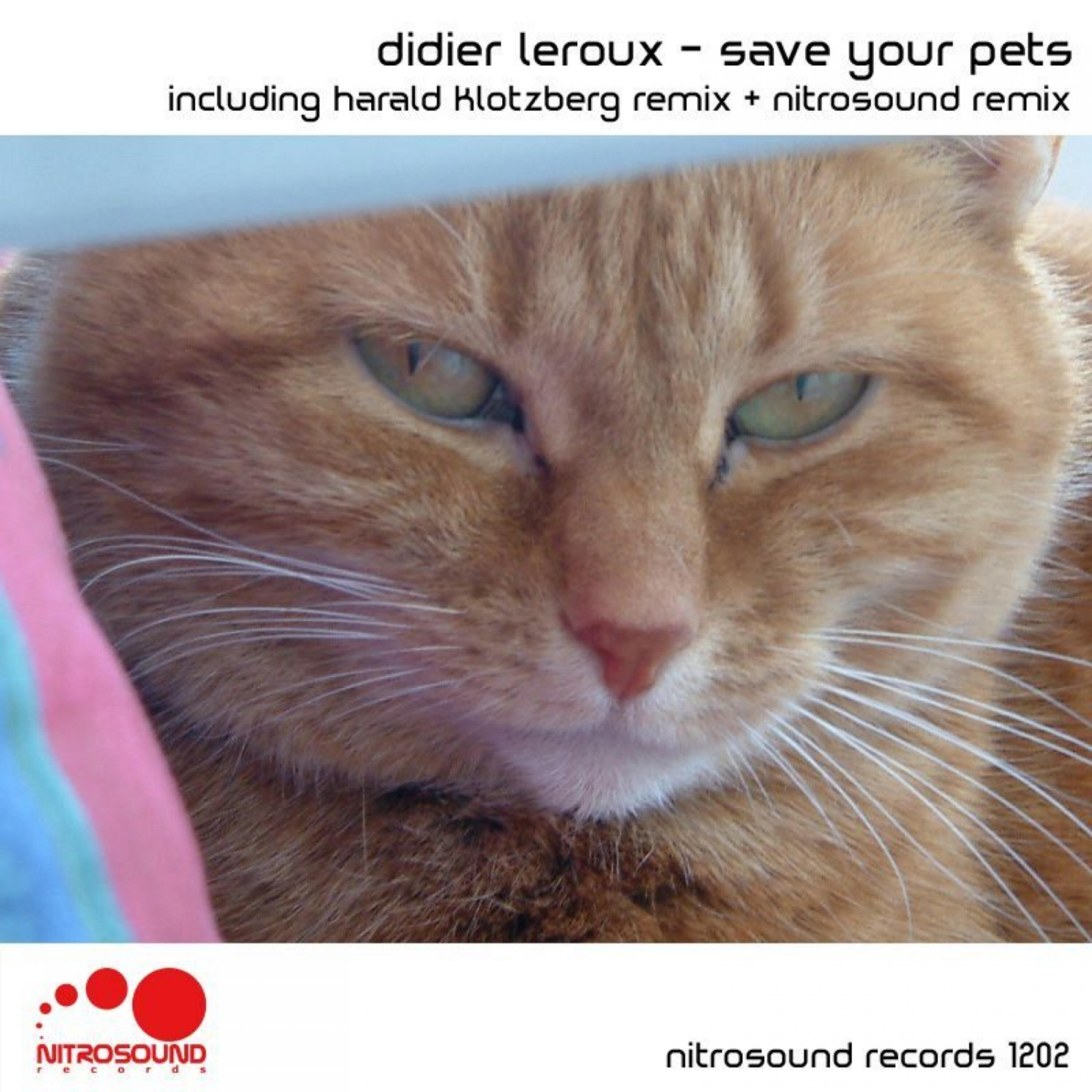 Релиз Save Your Pets